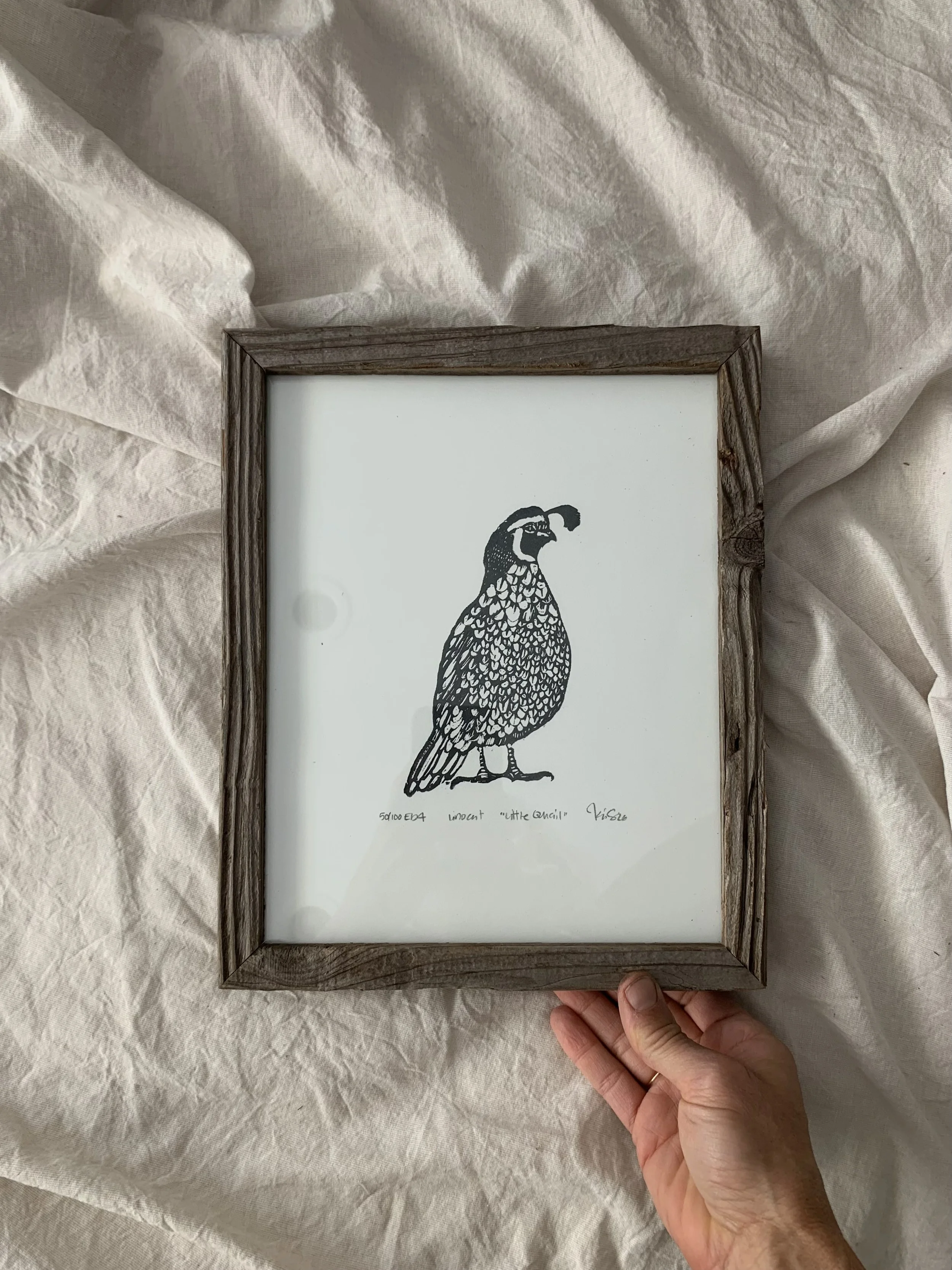 quail8x10framed.jpg