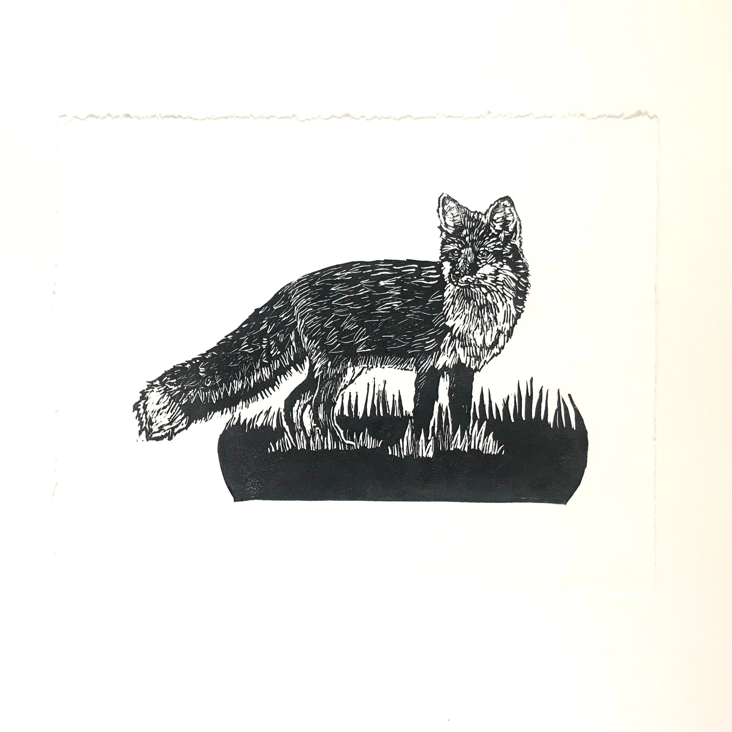 EBE33461-101F-4517-8616-F181E59CF245