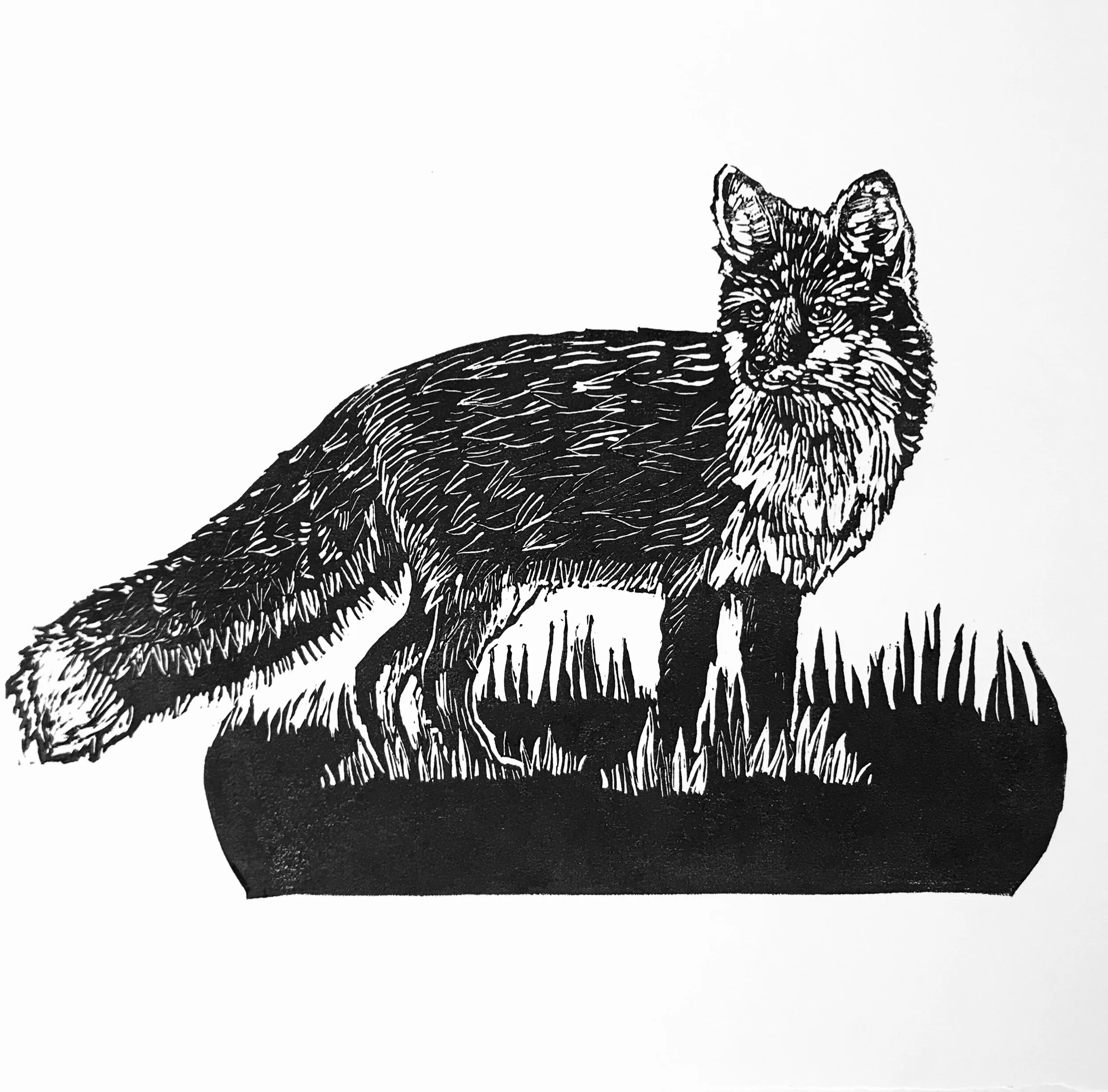 4A4B9F43-7DBC-43CC-A5BA-3FBD425DF10C