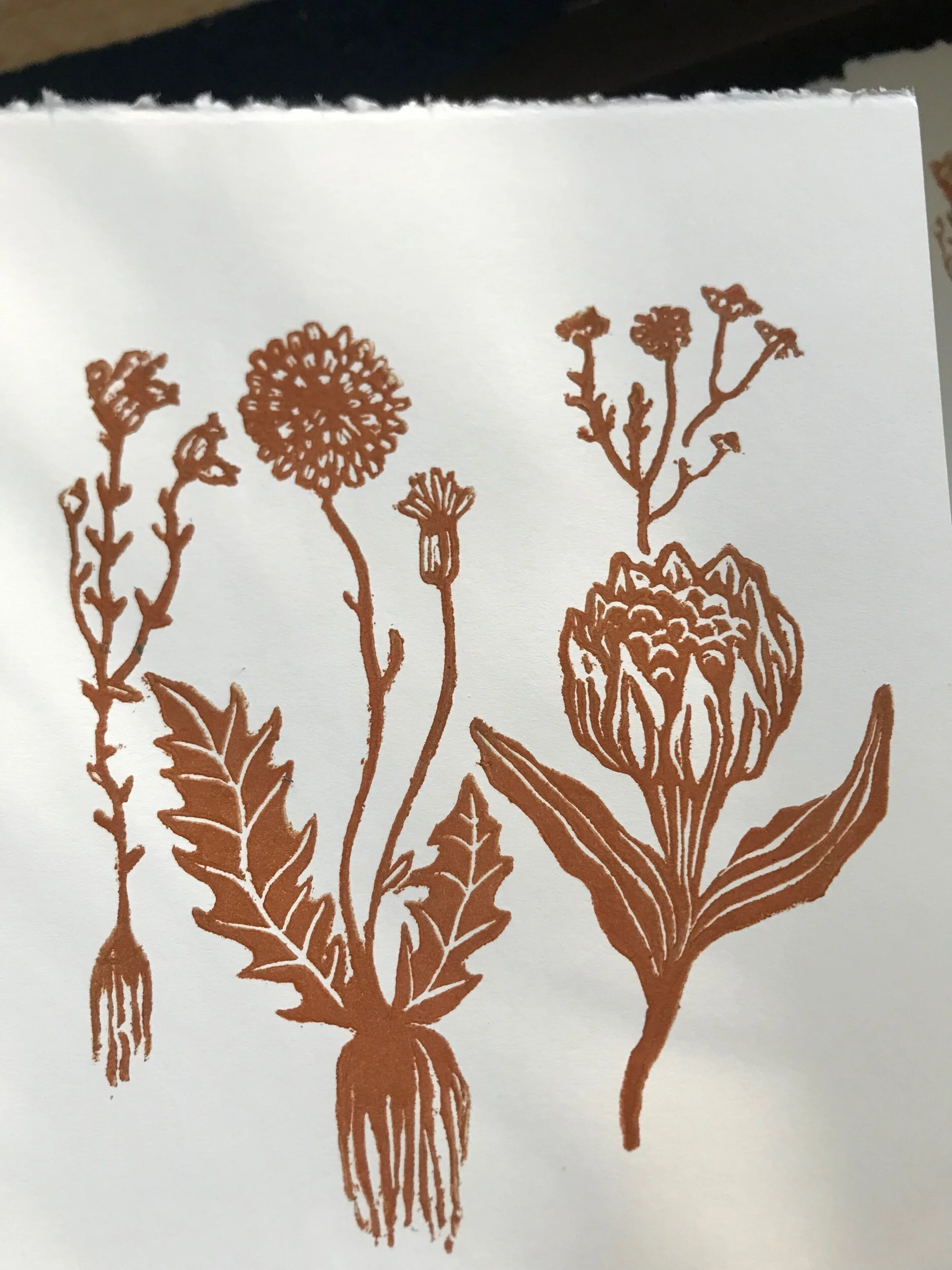 C4172778-48DC-4C7B-87C5-67079F29BA66