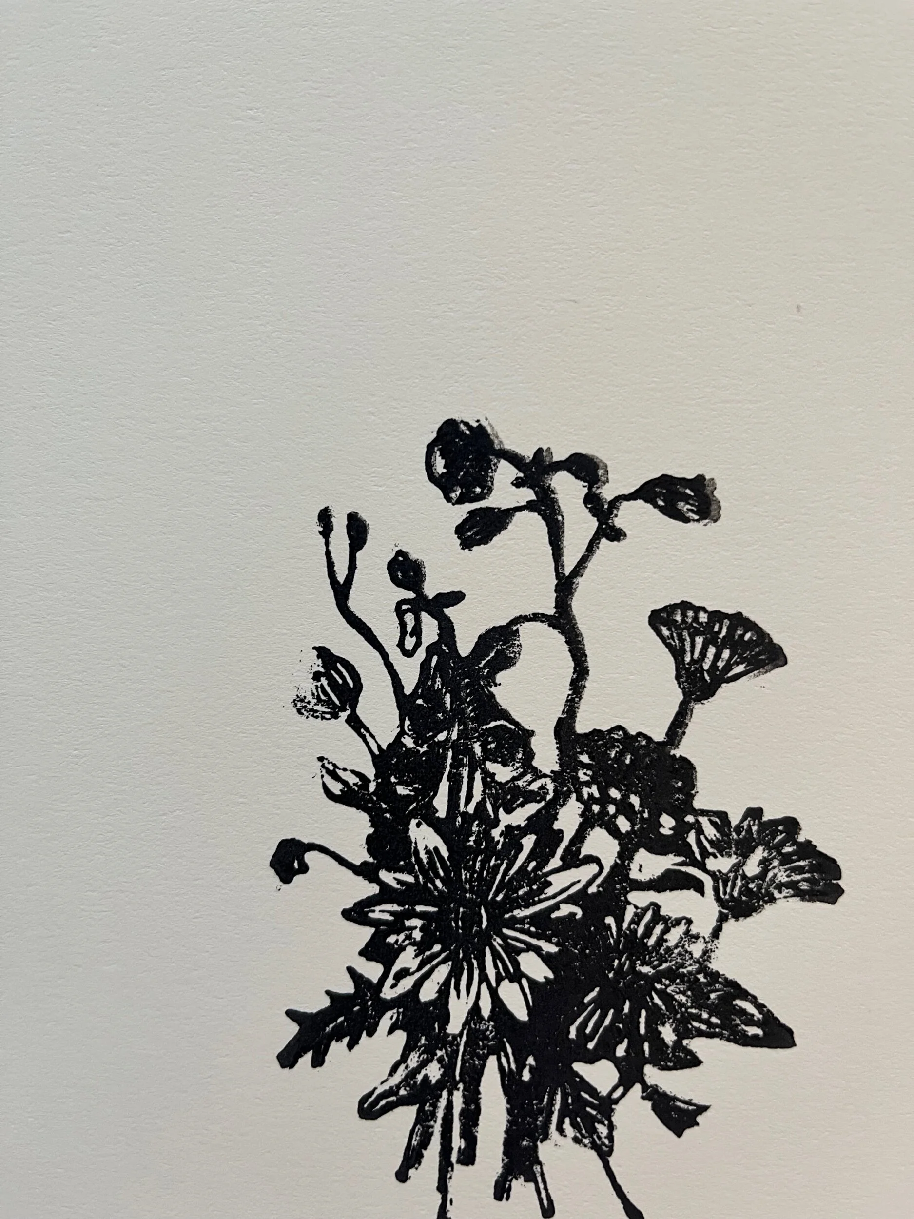 5AA9D14E-B411-46DE-AEB9-2ACA9FDFE55F