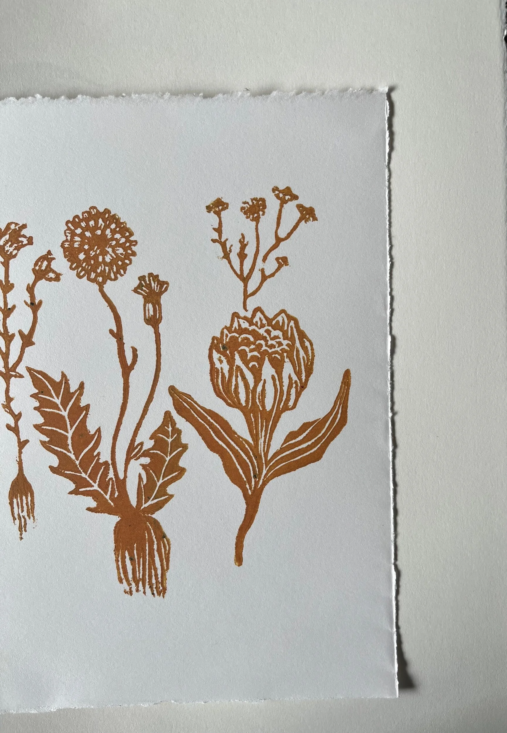 4CD3BFAA-63E3-4DA8-82A2-75FA06F5A417