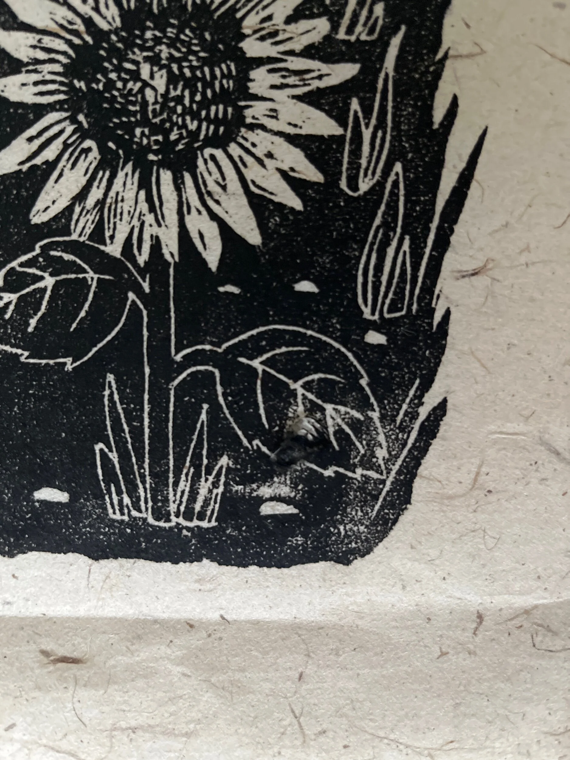 6C511335-A1CB-4CDB-BAFD-7E8A208627CE