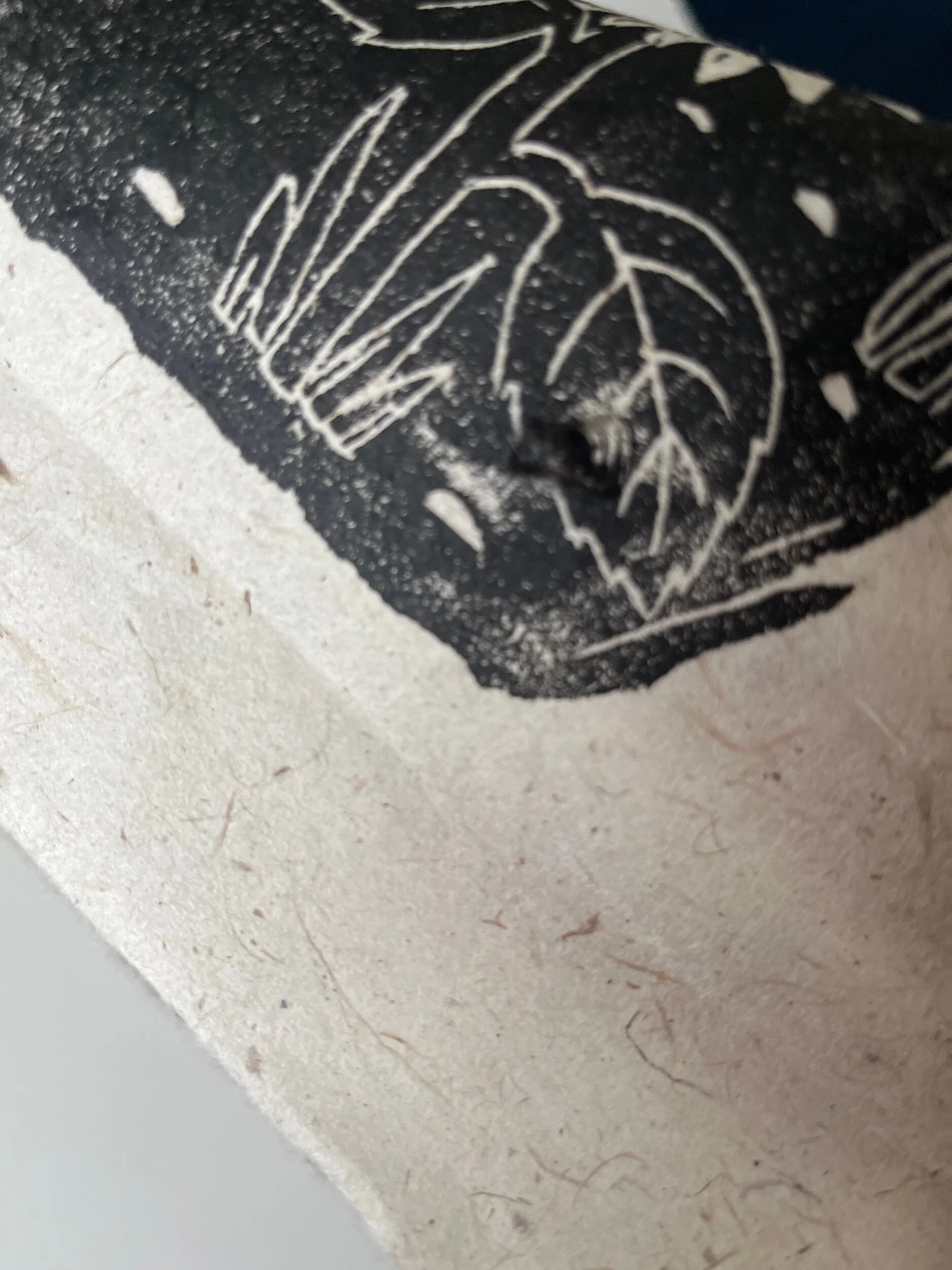 3FB4B27F-B694-4DED-8796-9F3B60210E57