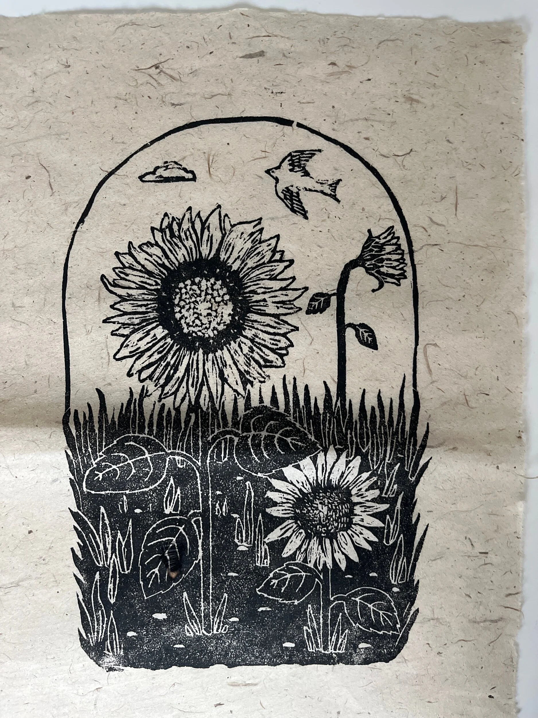 89B5ADD8-CABC-4F2E-9ABF-3C269D609E9A