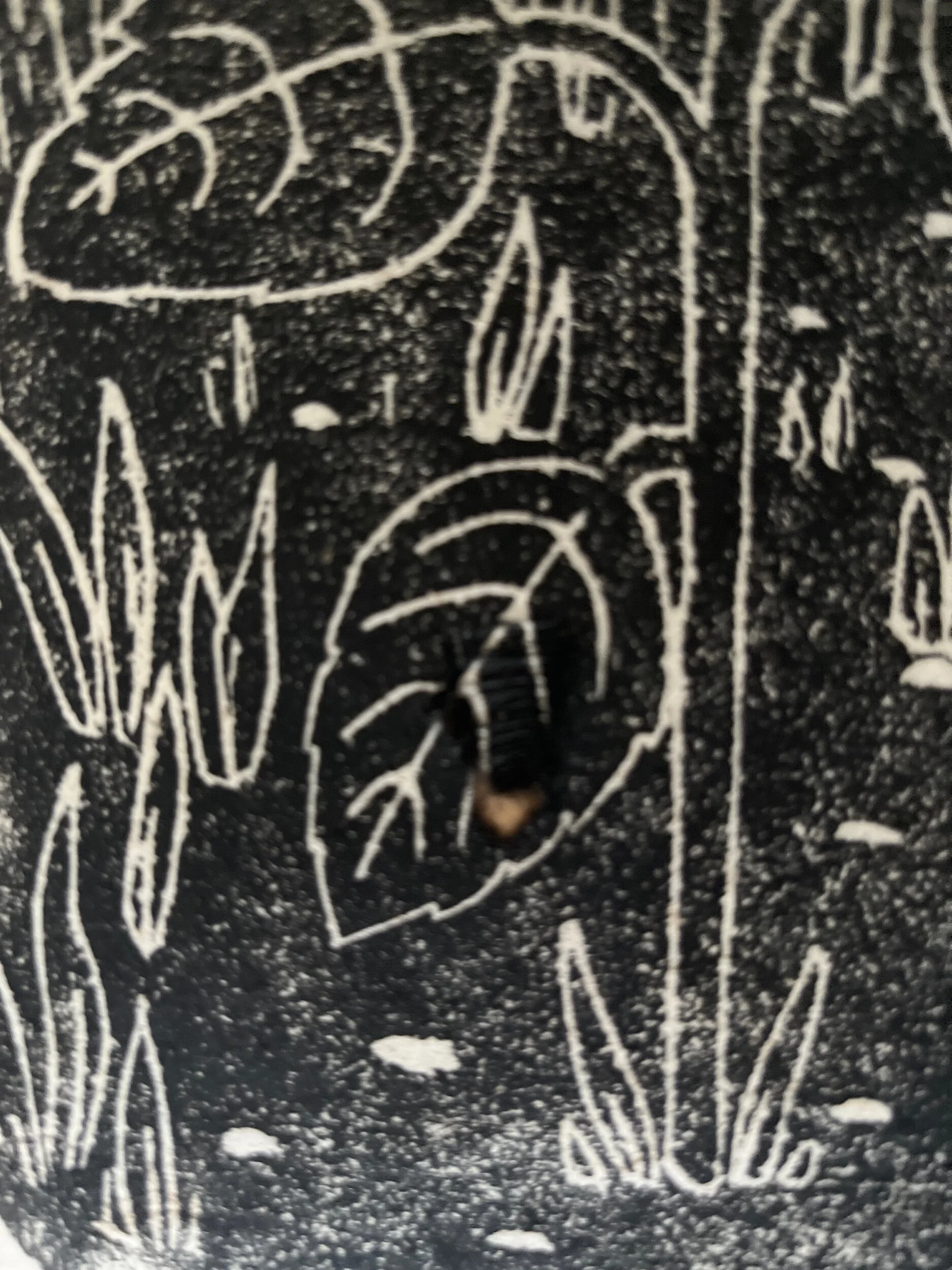 8A827738-03D0-4F5F-859A-5F81AC7F1AF7