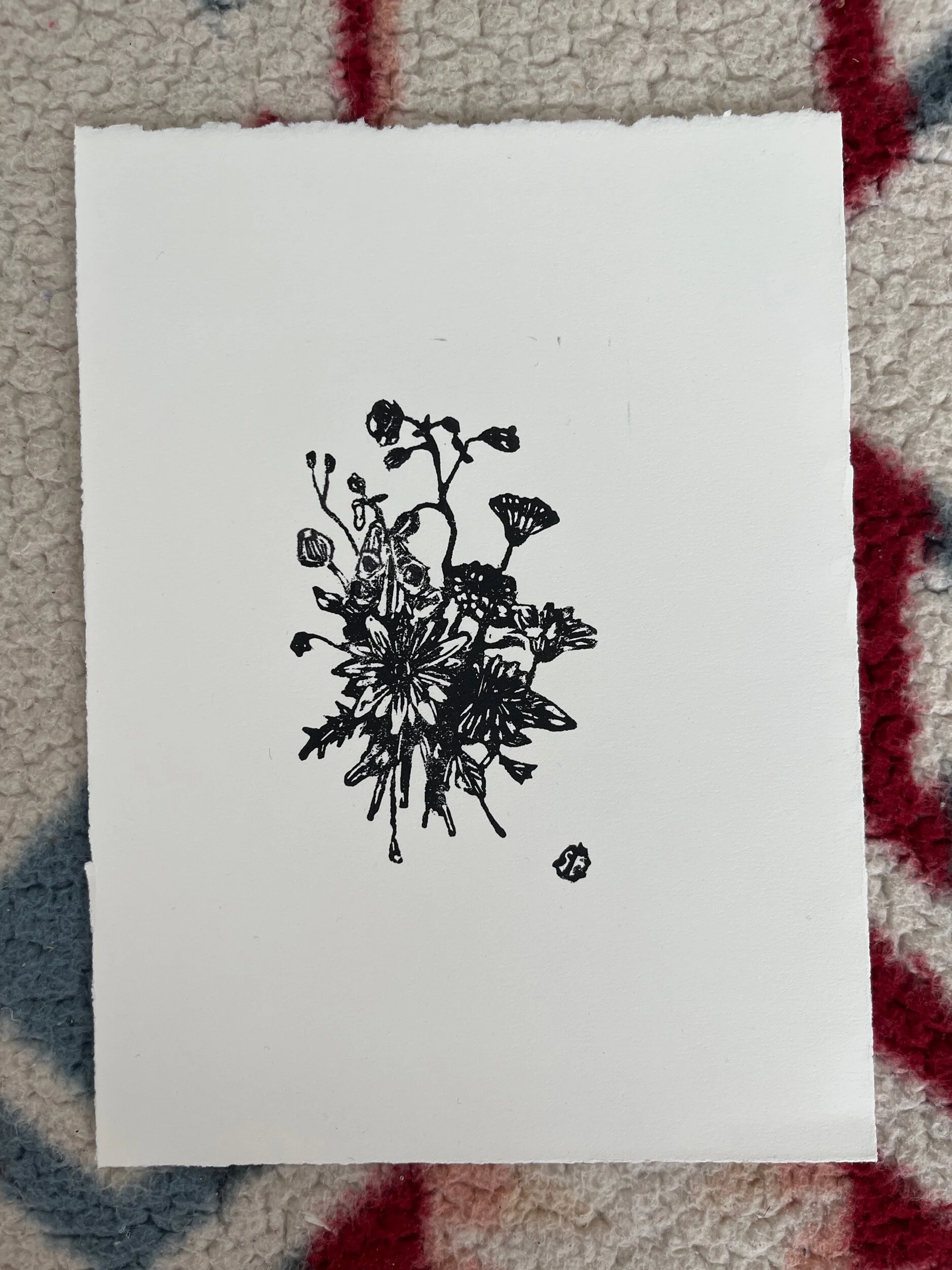 6E423B55-147F-42EA-9189-143D1FD69484