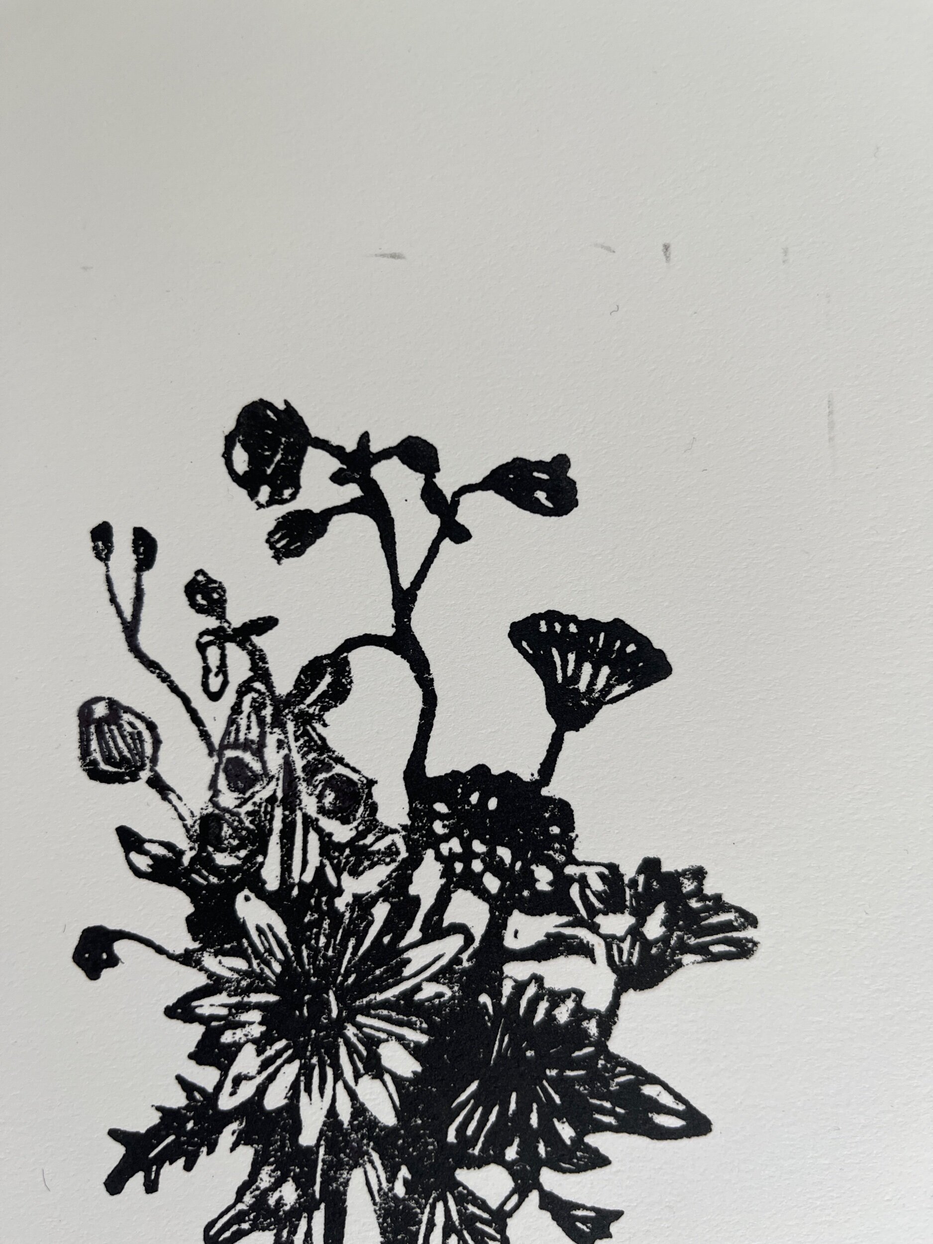 7E1EB9FA-04DD-46DE-BC2F-BE4D0C1F6D56