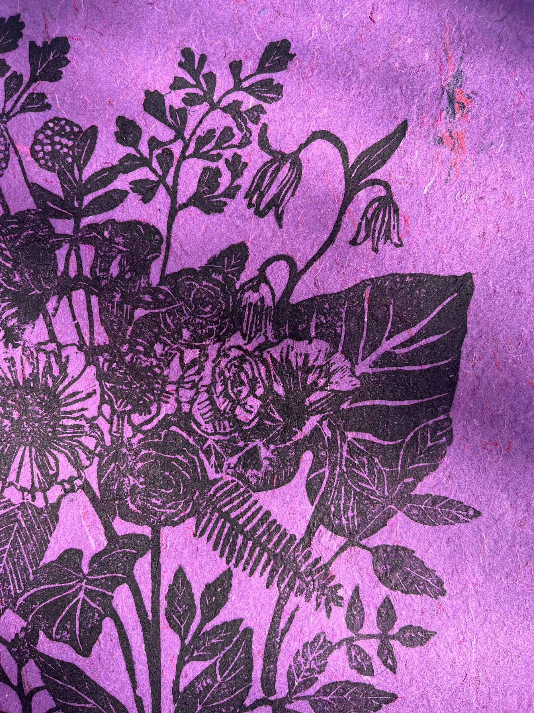 4BB96765-758A-4224-9DB9-C00BD3D28363