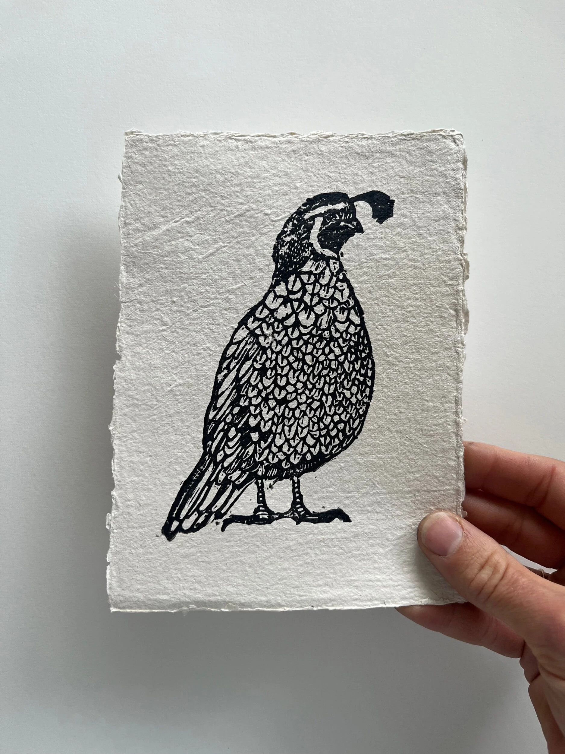 00408CEA-6E0A-4FF5-A848-3AEAA04D14E2