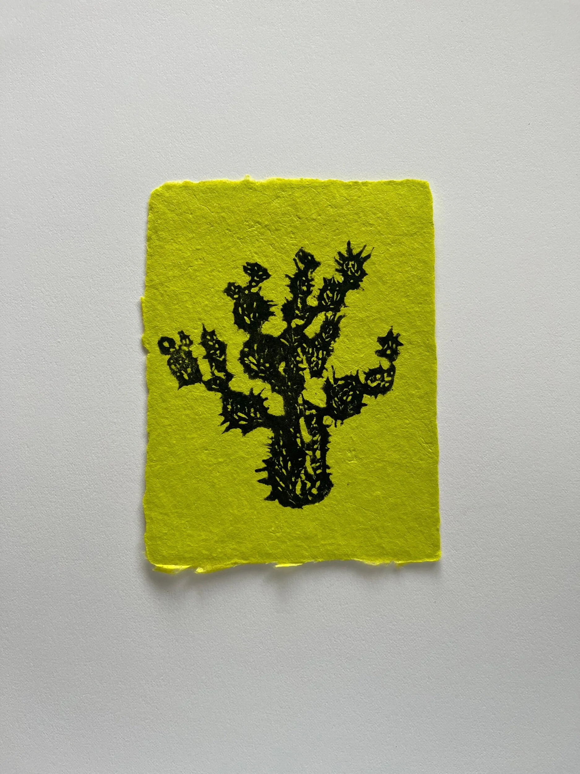 C38FD58A-60AF-4E6A-BF9B-2235A9E2A6A5