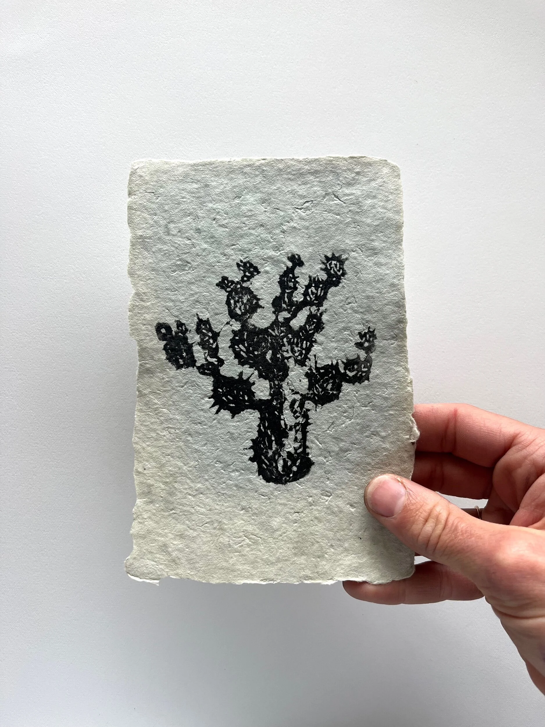 FDCC616F-3DE4-412C-95D1-0695E233F066