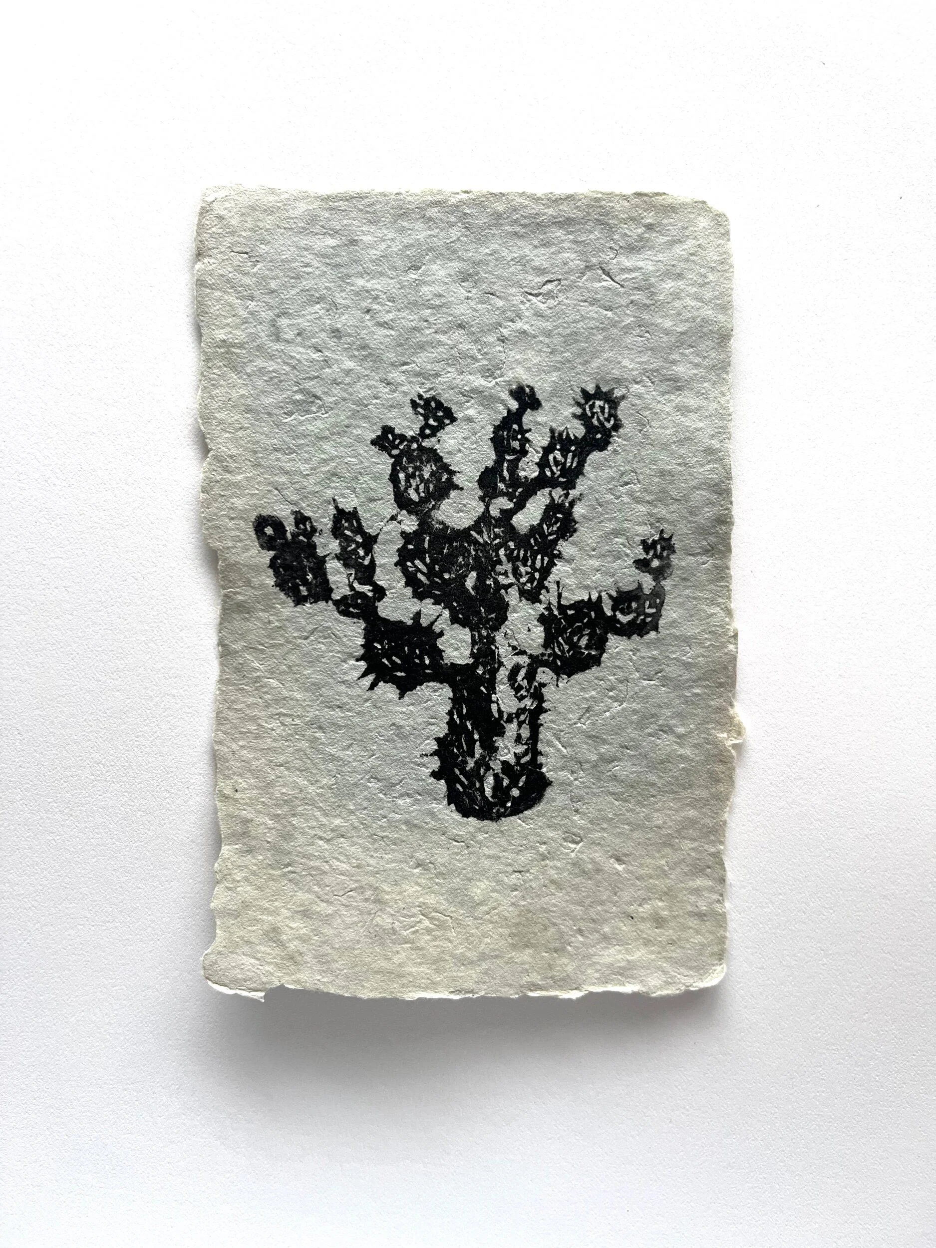 E033A0FC-FE58-4C8B-BB0B-3770B217A7DC