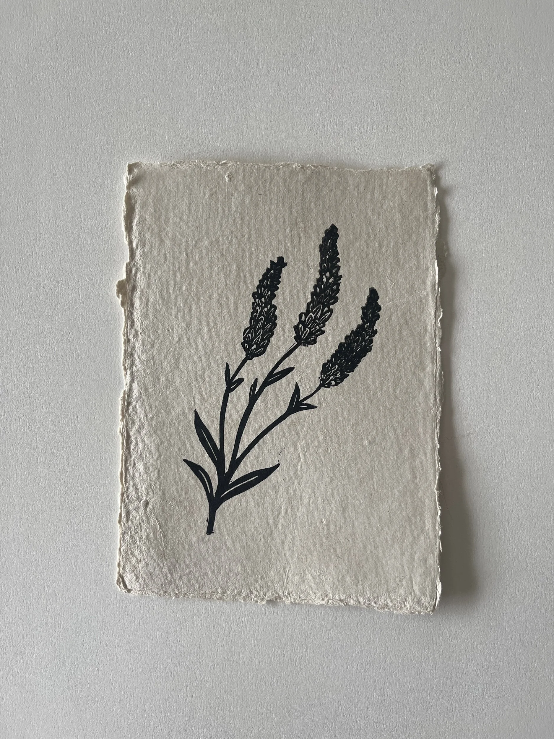 1F64C719-FD6B-476C-B7F7-AE95B09744EE