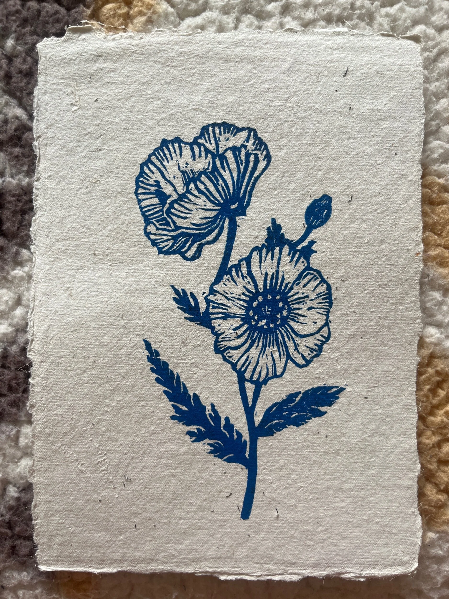 DF466483-E2D0-48D9-A325-1FC7CFB4CFB5