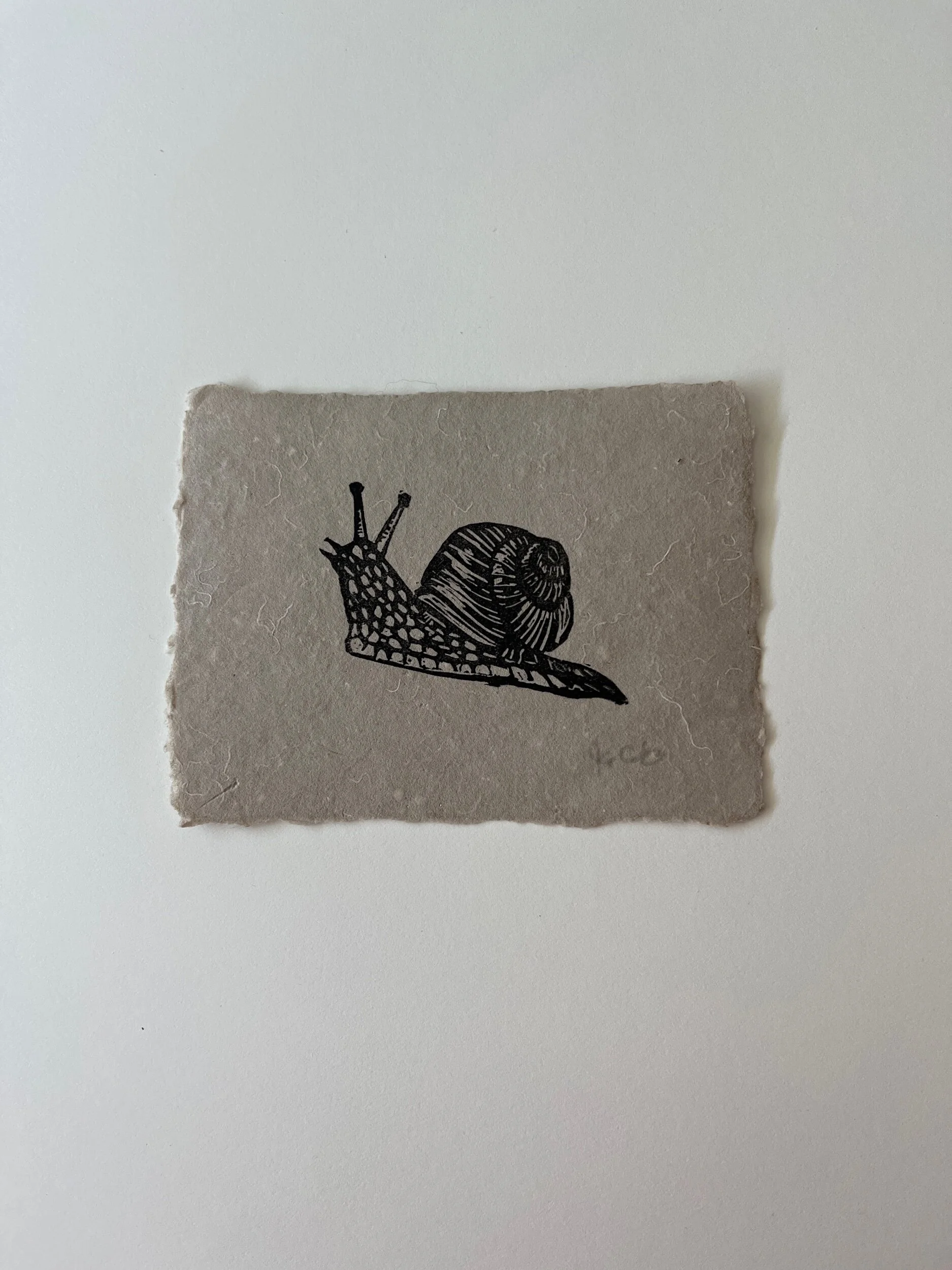 BA5C6C8C-D132-48A2-AB8E-819A773D0761