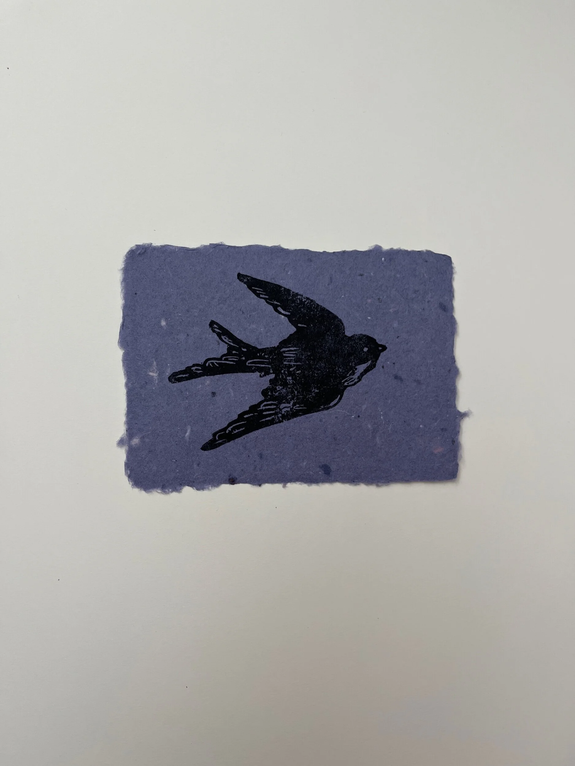 1D3FEB51-A99C-48F8-8366-C58183F08D4A