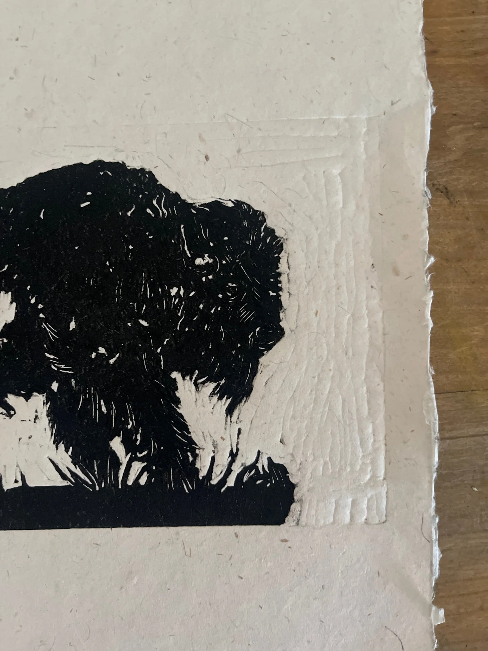 B1BCA128-9372-41C7-BB15-504514B2E986