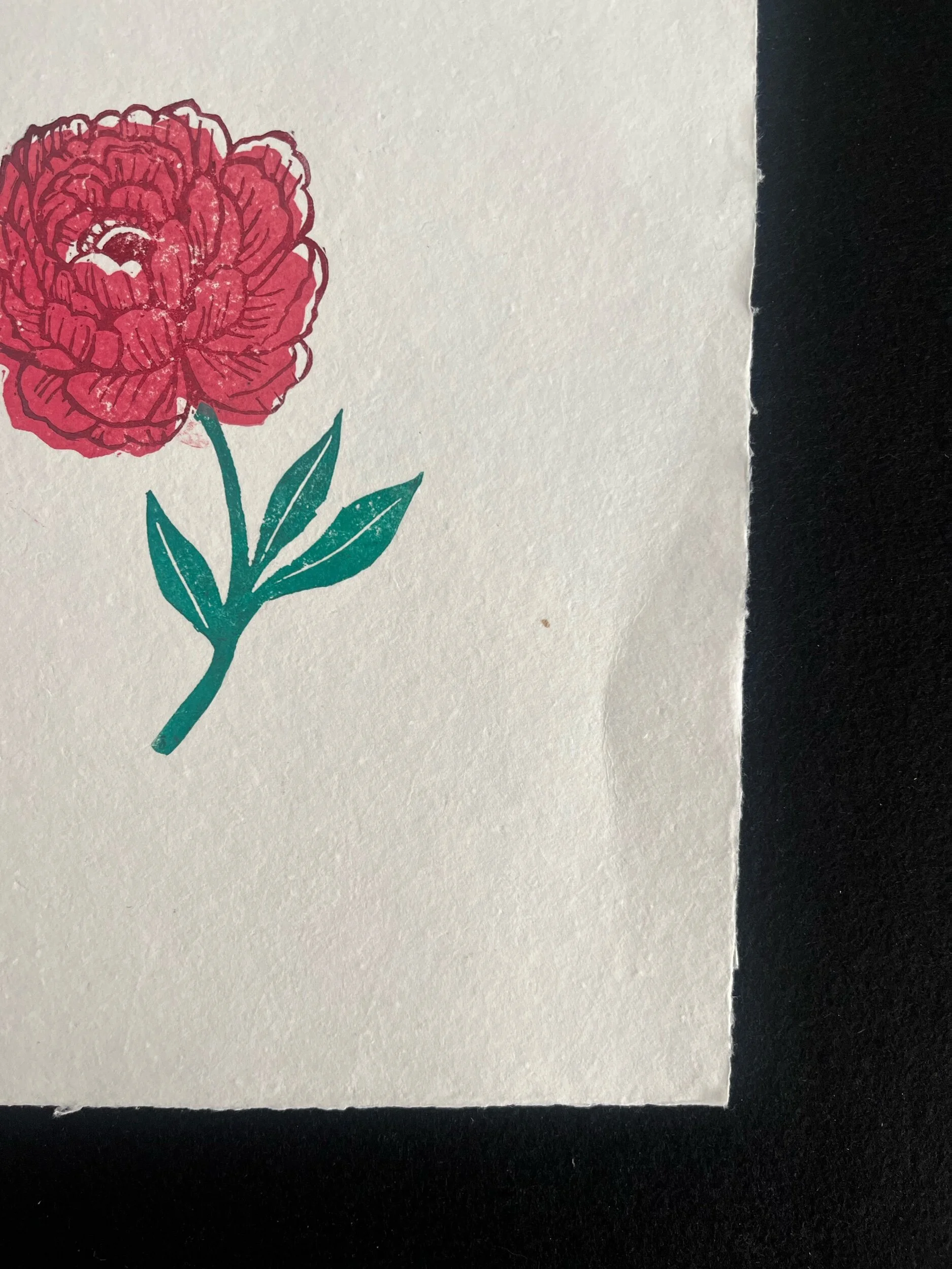 D5188E12-86C8-4EC3-BEFF-97DA230C5D80