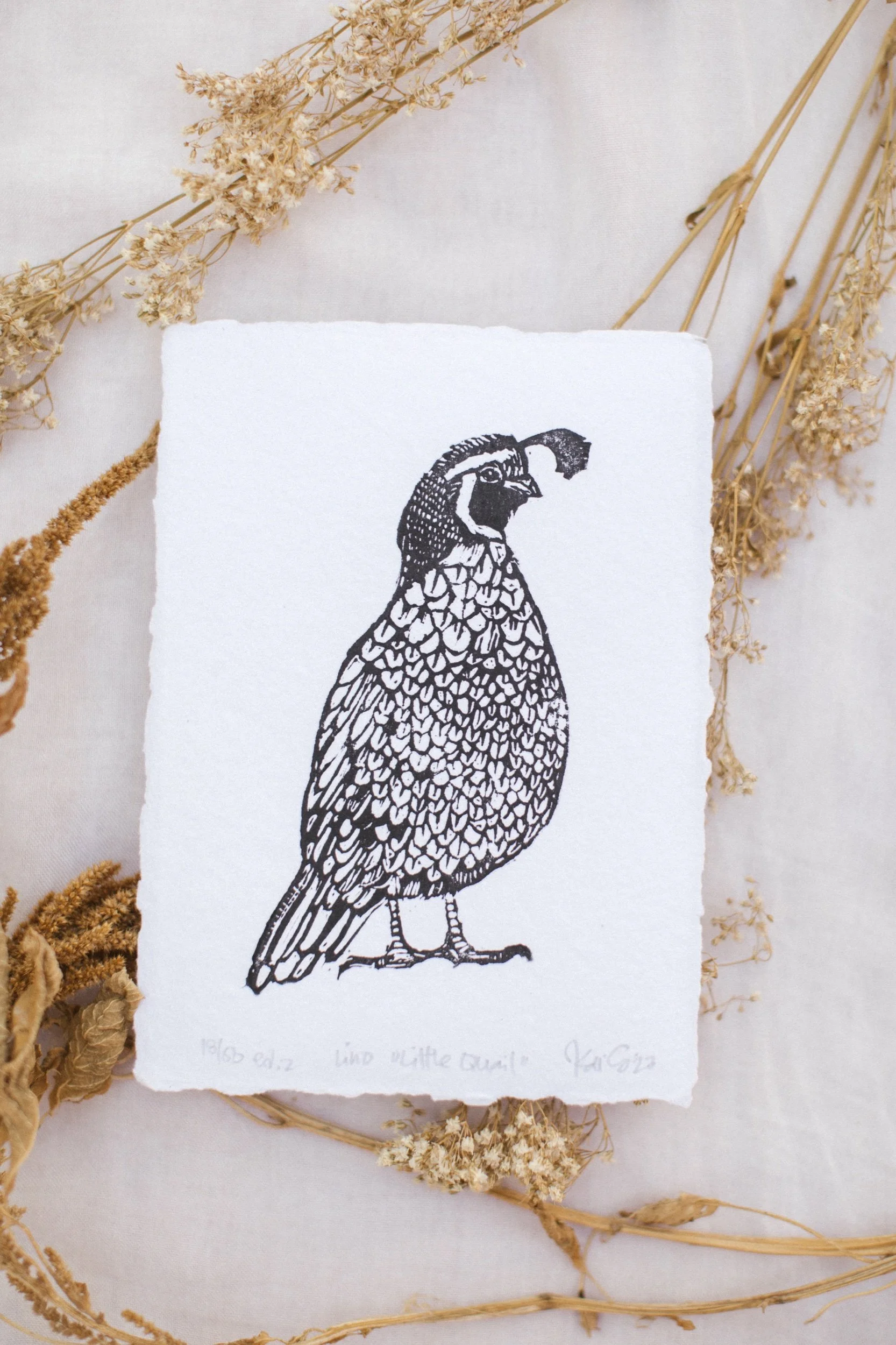 ED4F0BEE-72E7-443A-AE3D-F3DADBD7048D