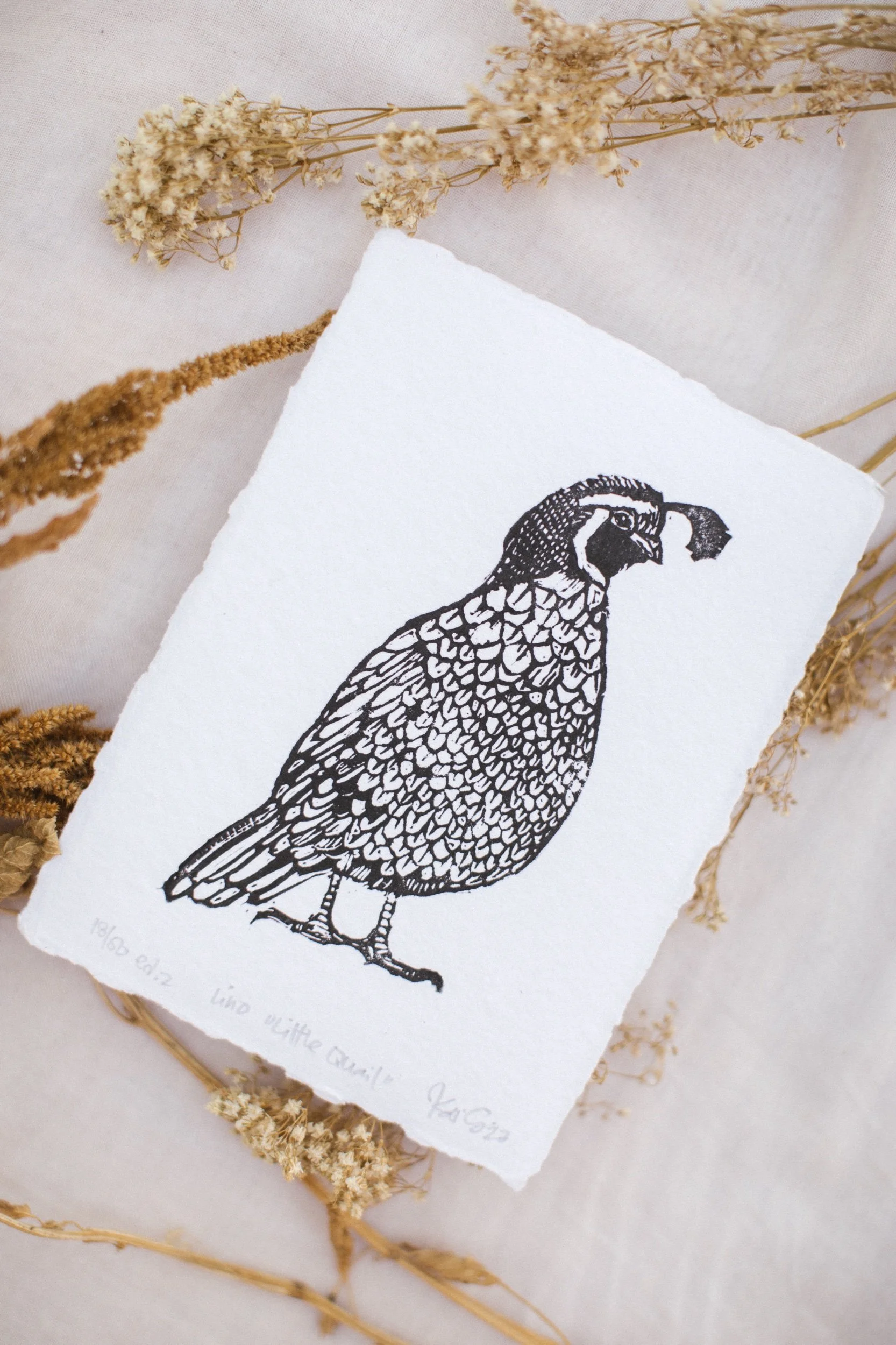 2CD731EF-FCA6-41D5-B232-C716C6A04F5B