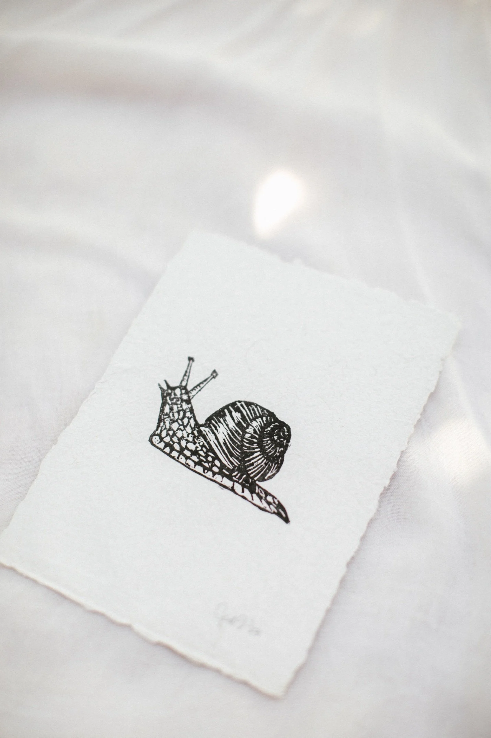 CB2C049F-67D3-464E-A5F7-23AED33D6393