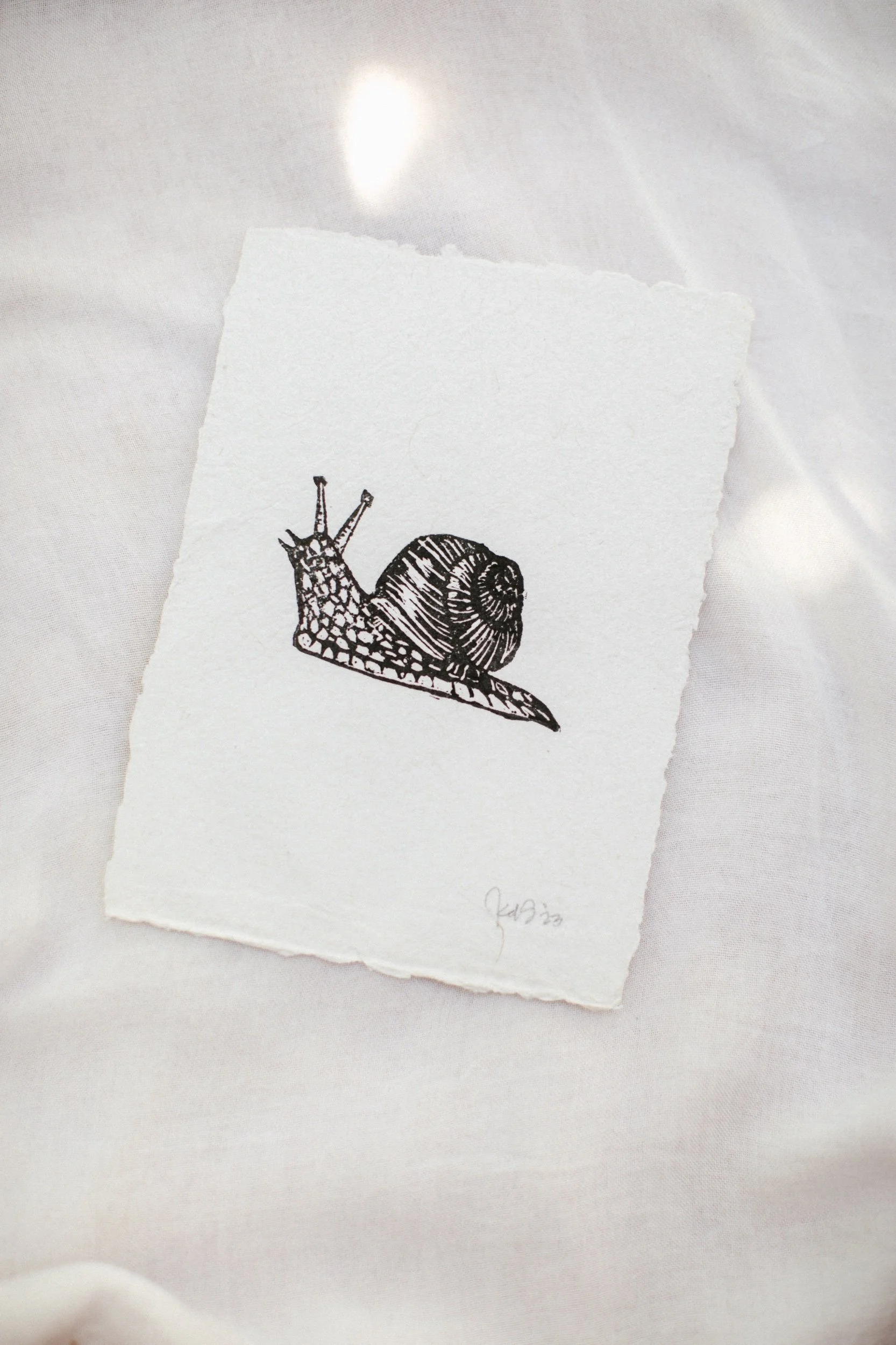 811E82C2-4C07-495B-A68A-E404CA29D156