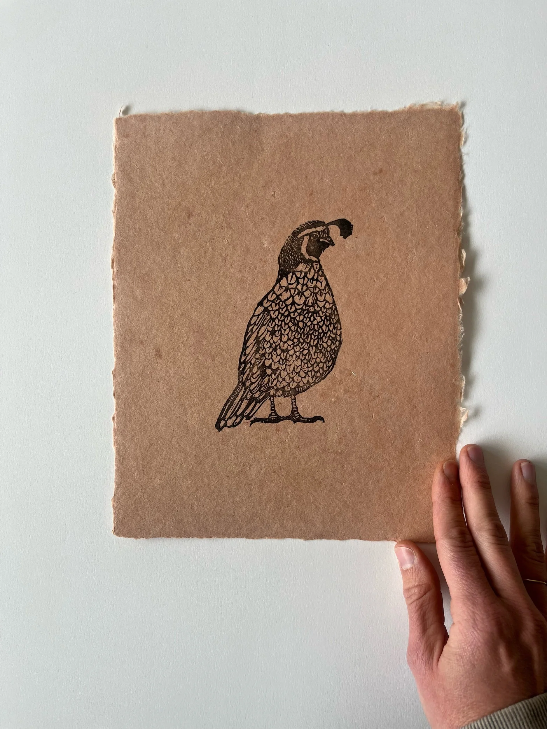 8432D55F-2F7D-43AD-9EC7-3C580F8199CA