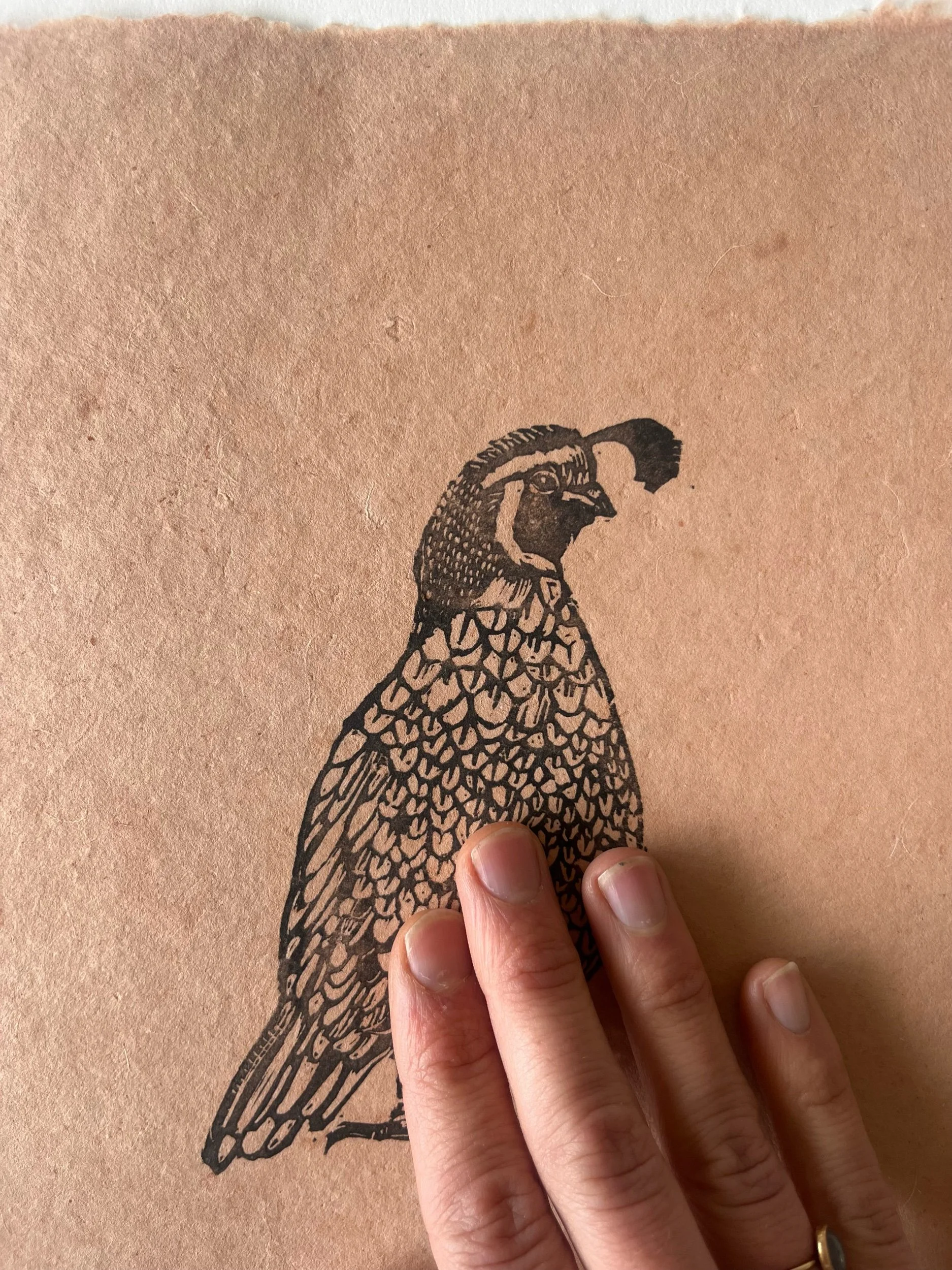 442DA3A3-0BD4-4D56-BF6D-62AAEEFA7AA5