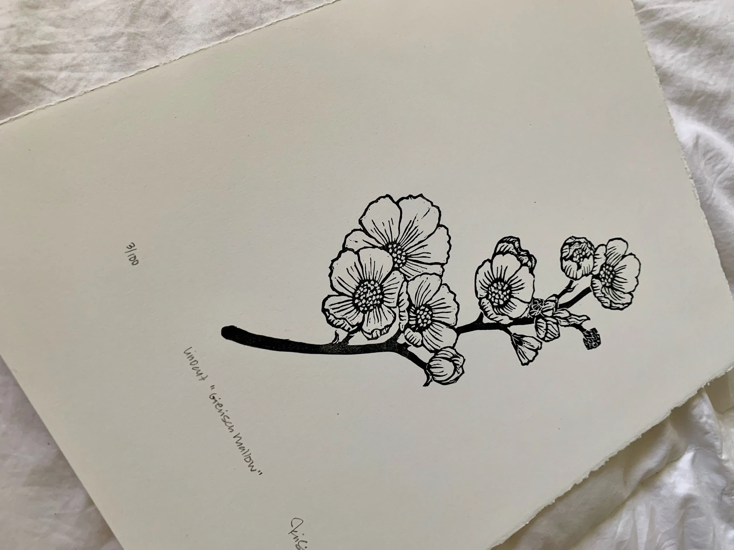 A6589237-DA49-467A-9831-4692B4A8201A.jpeg
