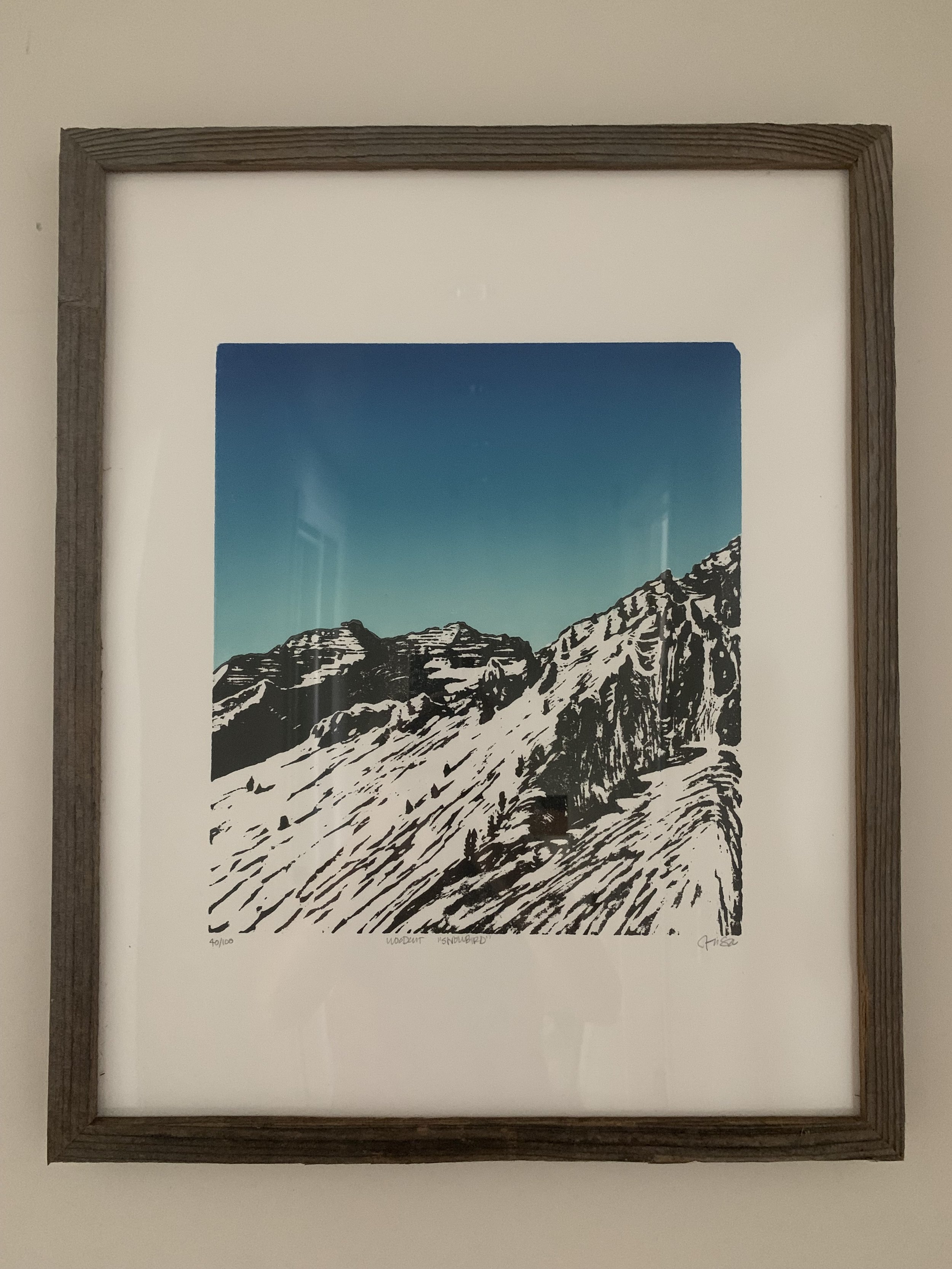 Snowbird_Framed.jpg