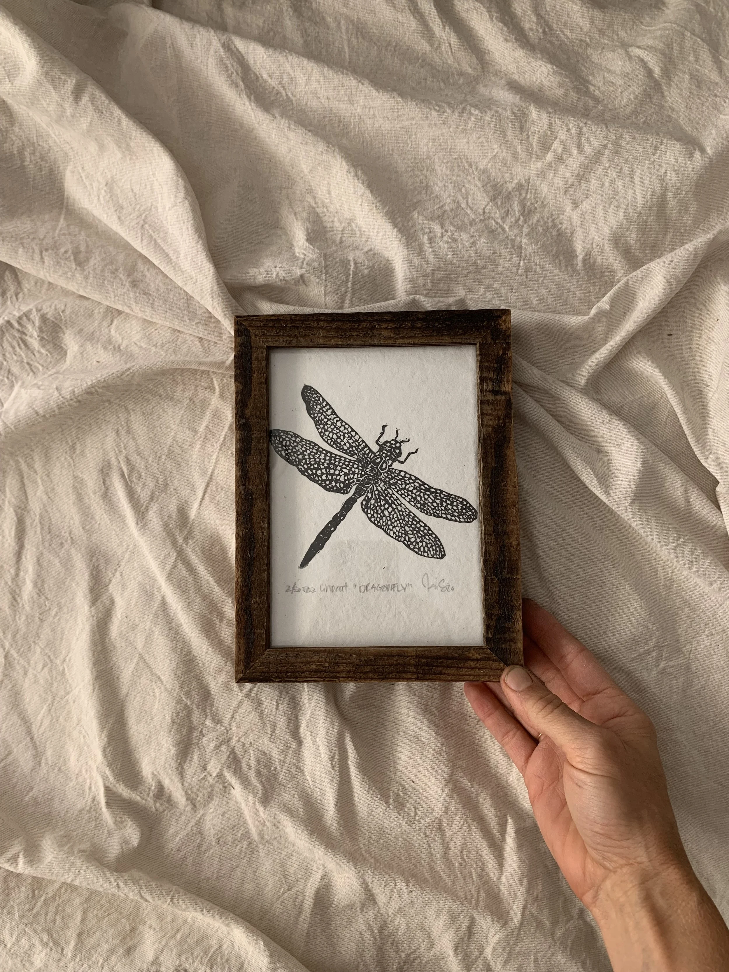 dragonflyframed.jpg