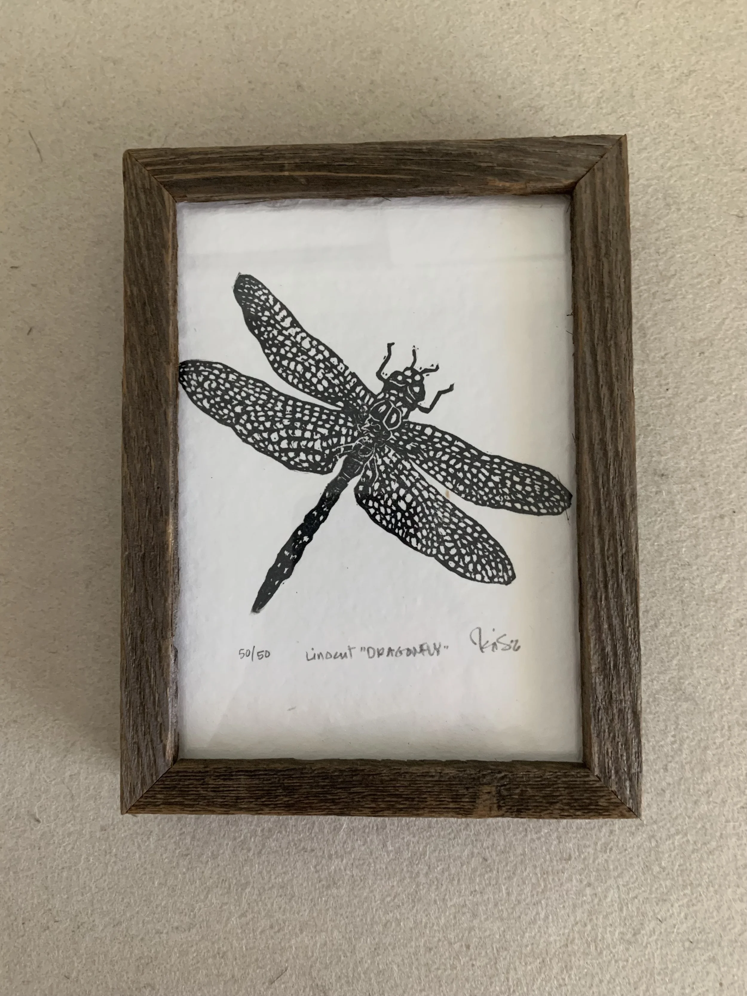 dragonfly_framed.jpg