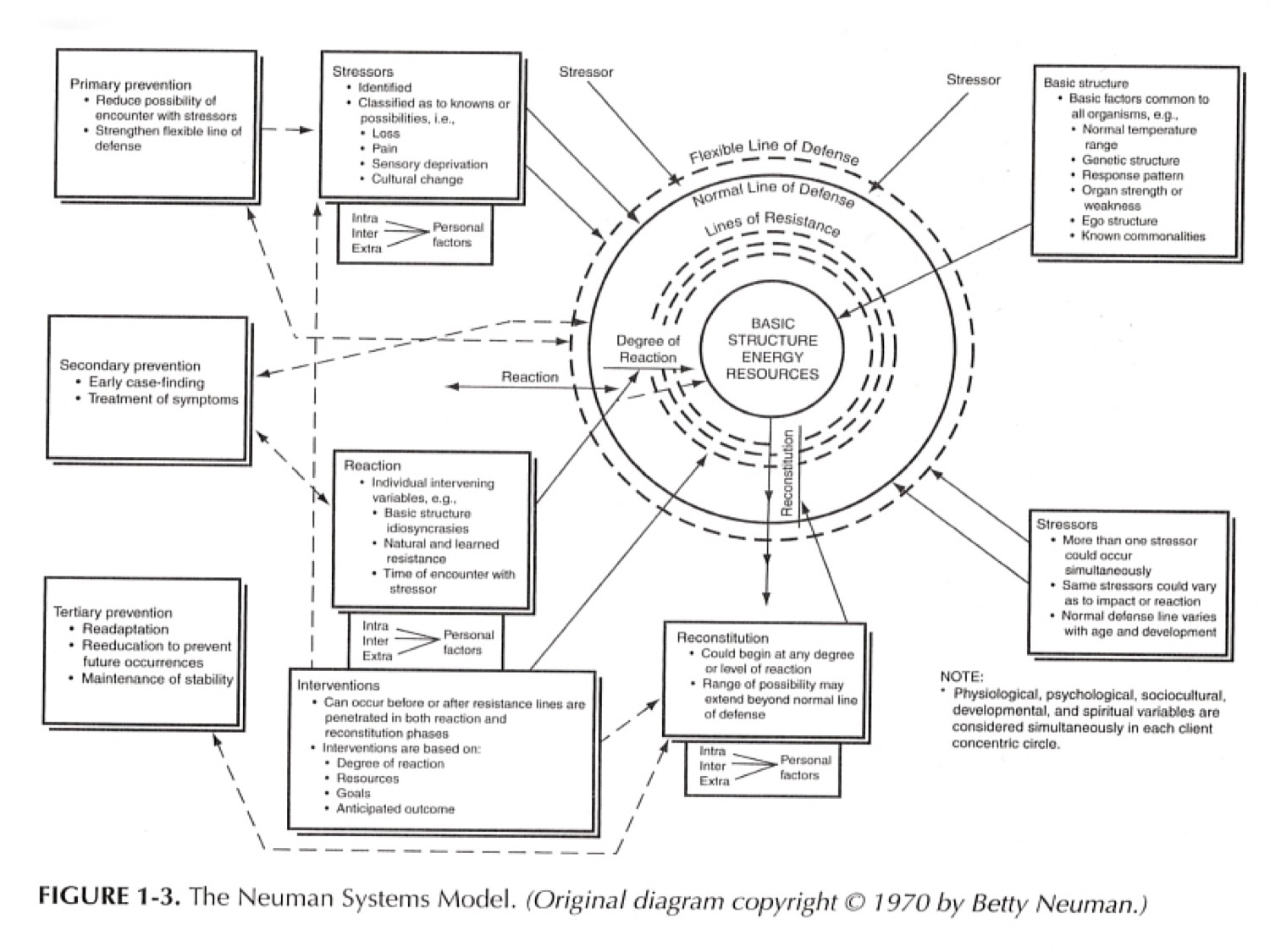 17NSM overview as PDF17.jpg