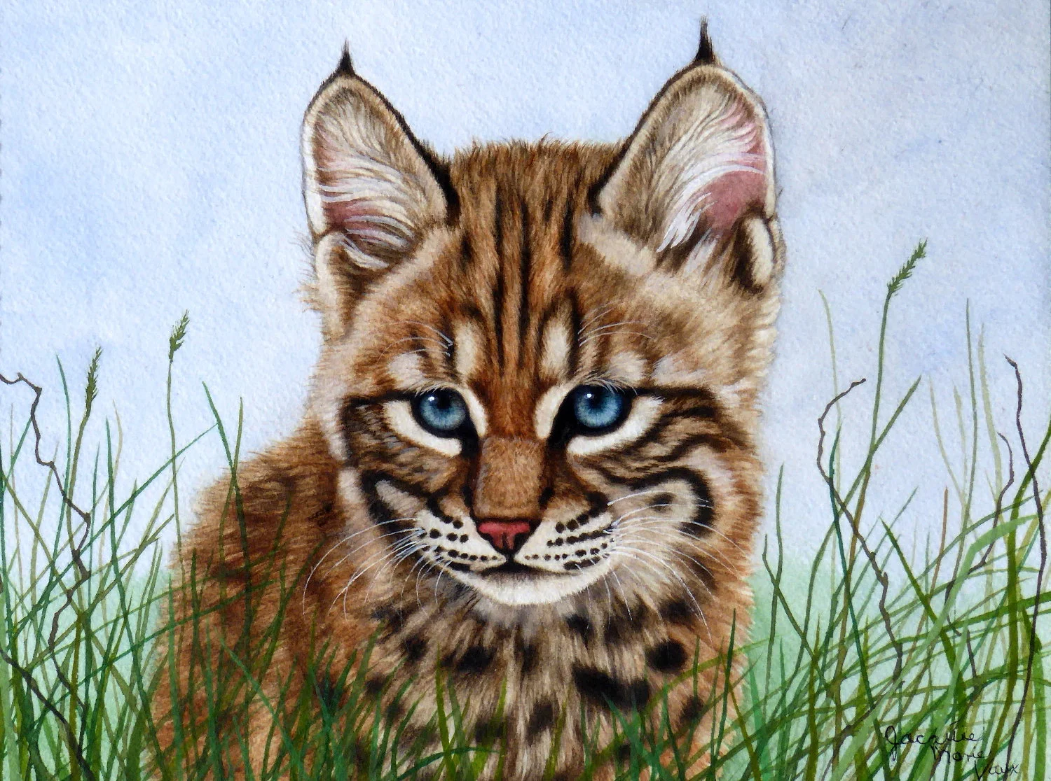Baby Bobcat