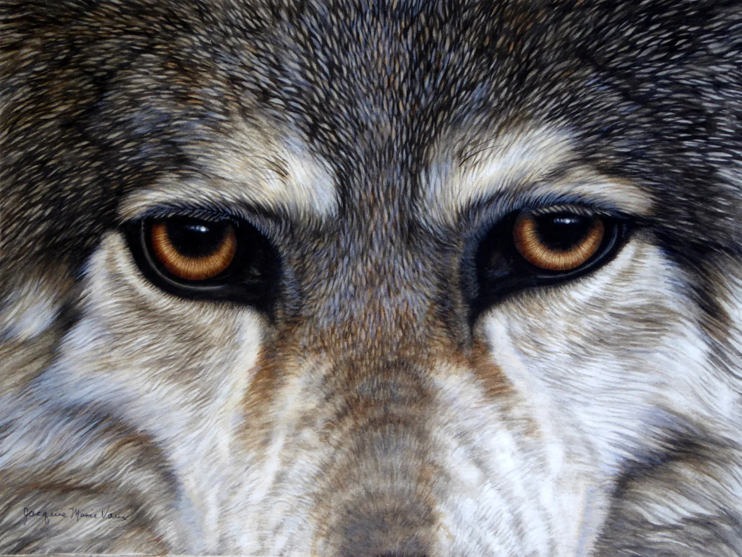 Eyes of Wolf-Cm.jpg
