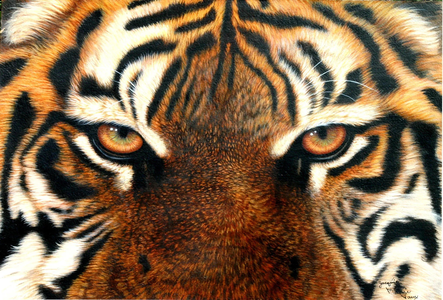 Eyes-Of-Tiger-1500-Cm.jpg