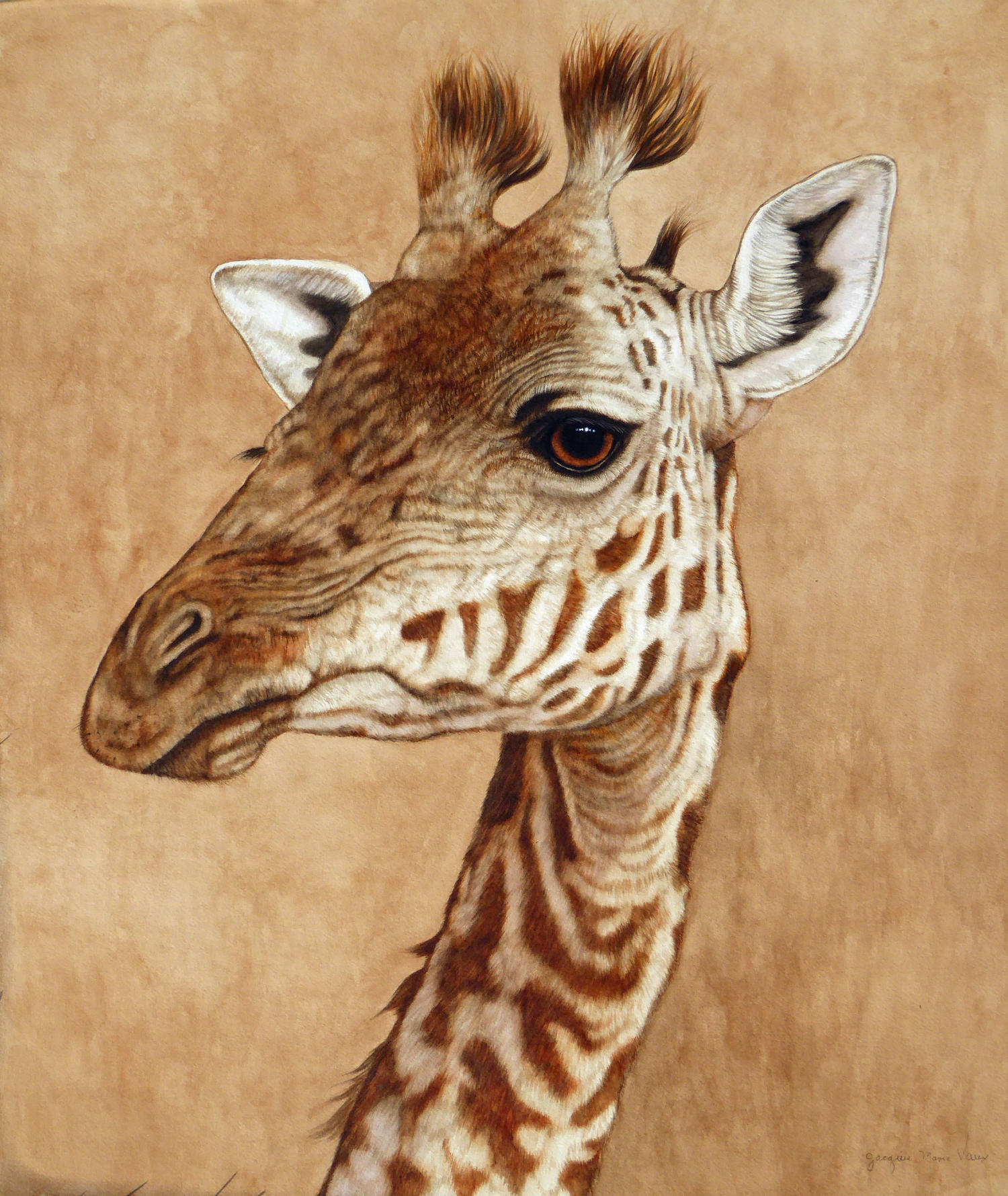 Giraffe-2017-Cm.jpg