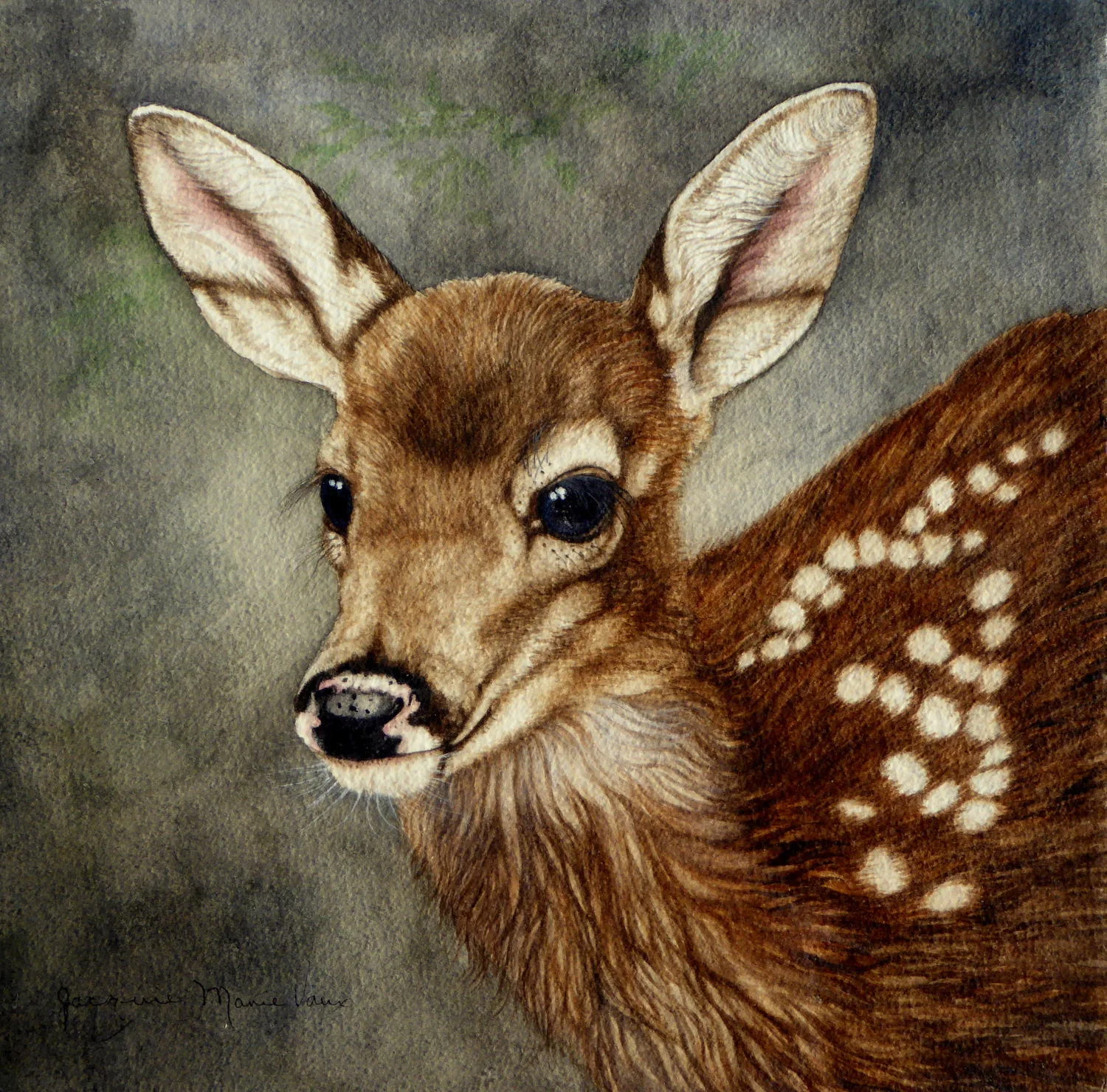 Deer Fawn-2017-Cm.jpg