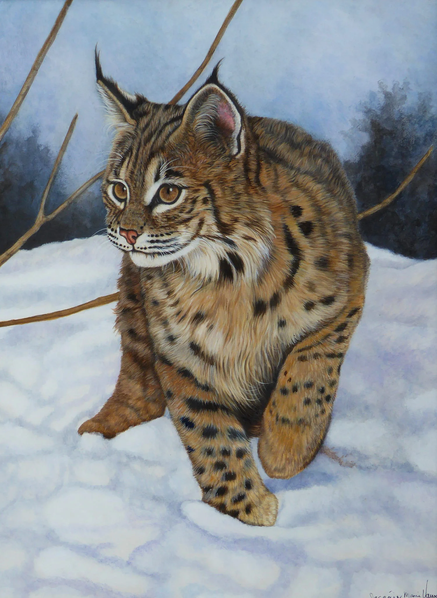 Bobcat-in-Snow-Cm.jpg