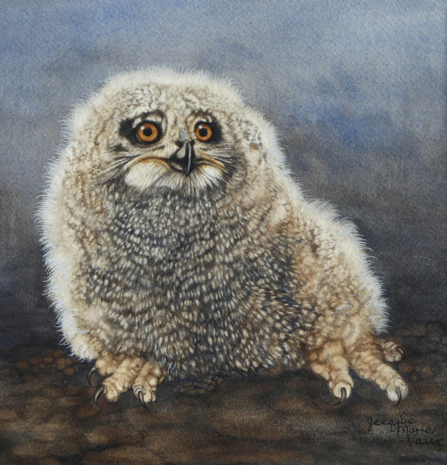 Eglet-Owl-Chick-2018-Cm.jpg