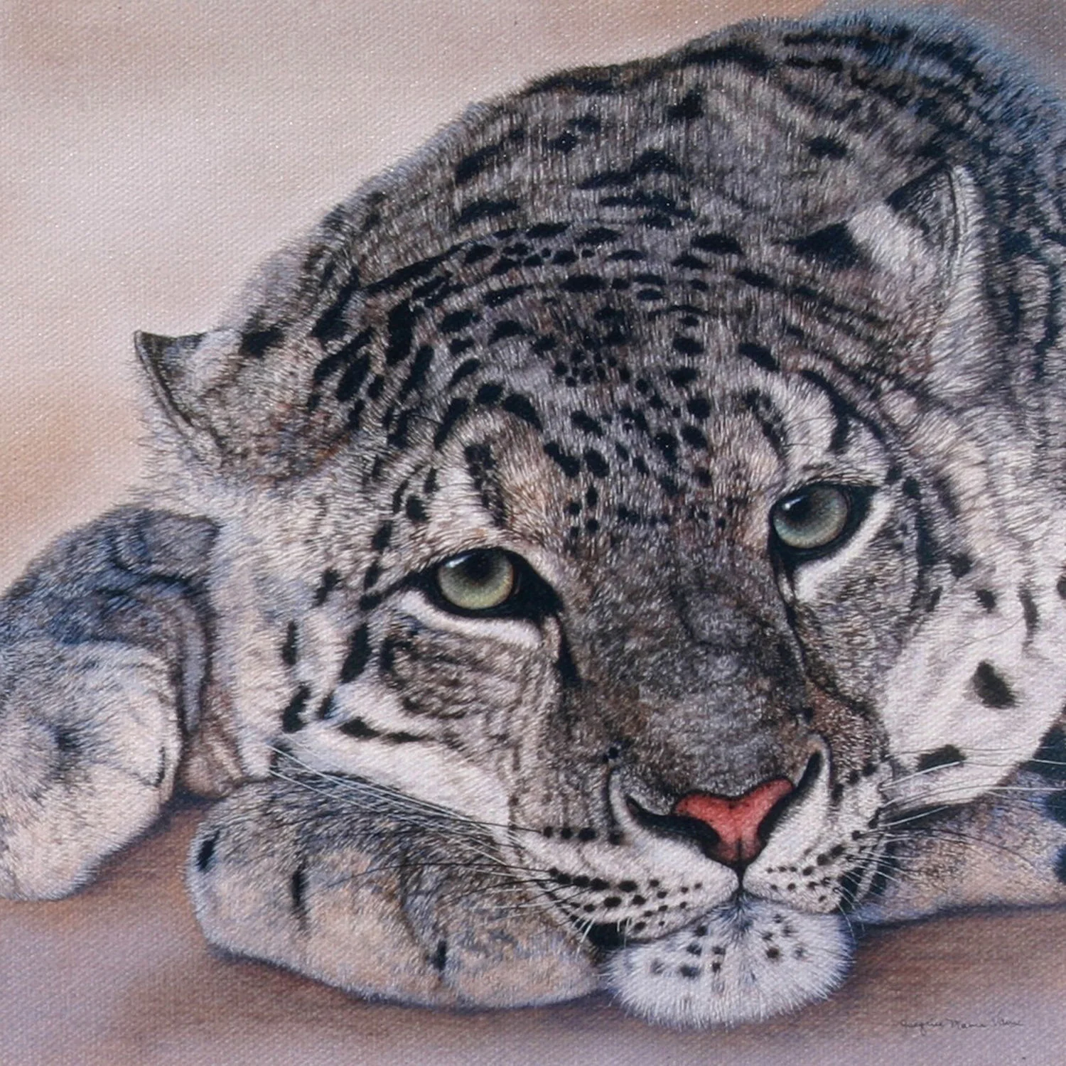 Snow Leopard H&P.jpg