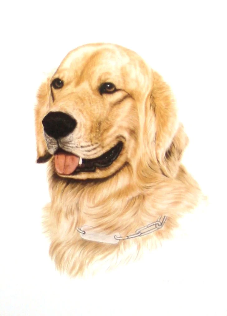 Golden Whitebackg.jpg