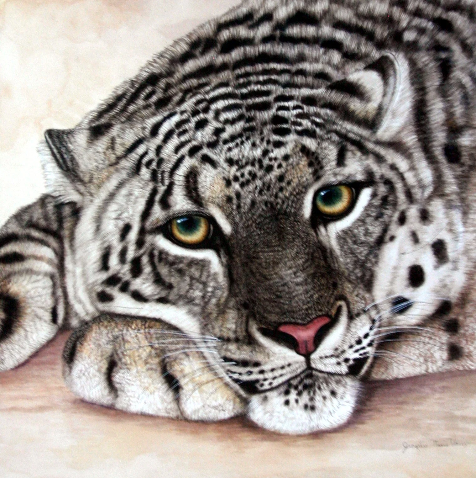 JMV Snow LeopardH+Paws-Final.jpg