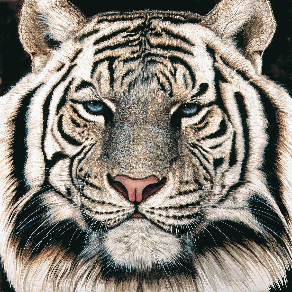 White Tiger Face-1200.jpg
