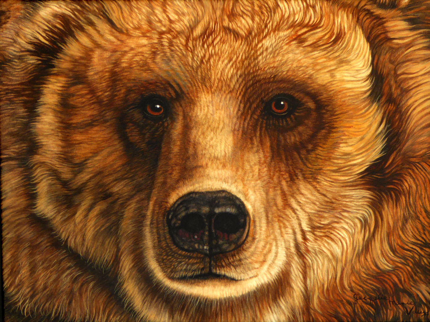 Eyes-Bear-Cm.jpg