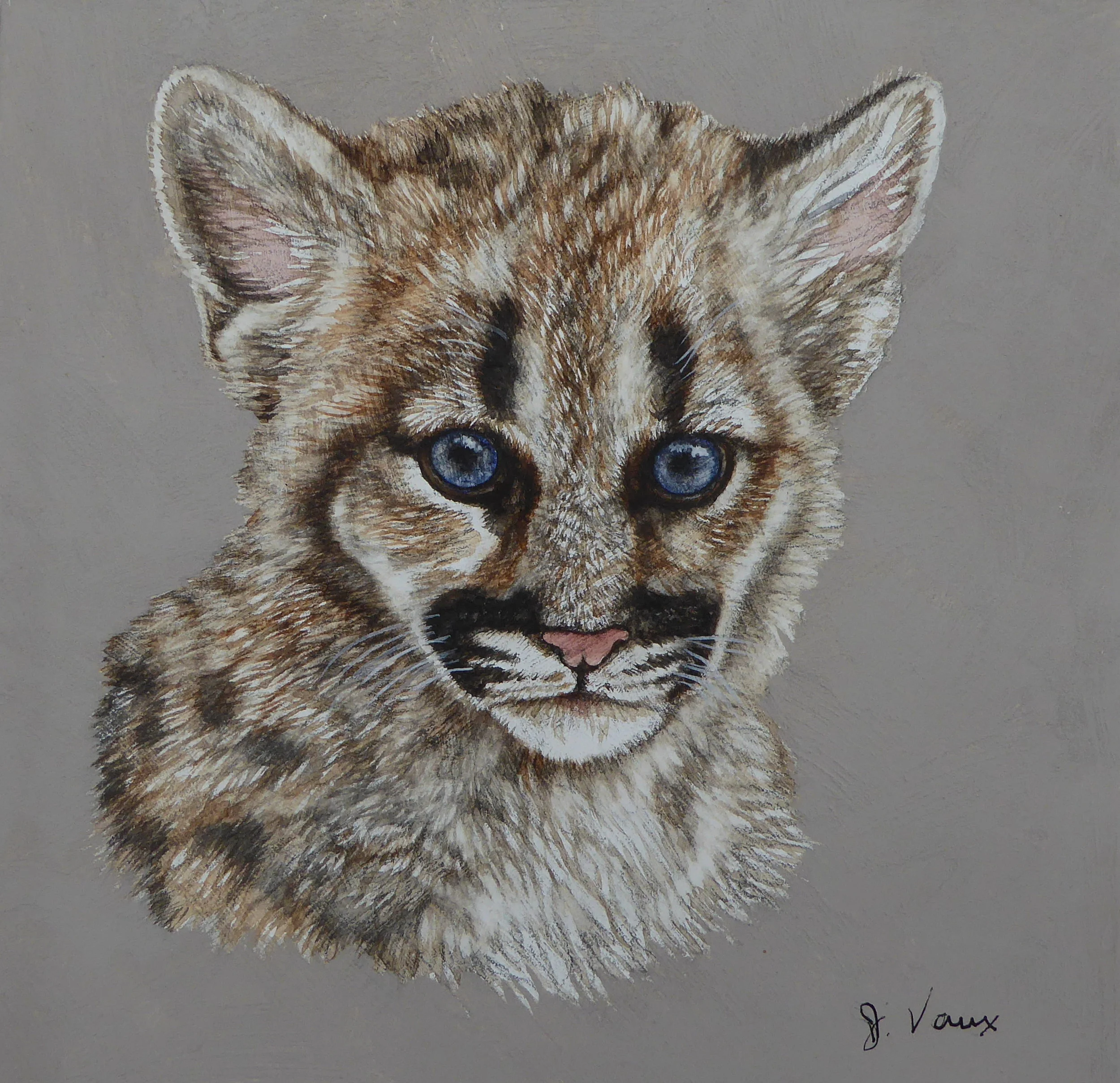 Cougar-Cub-Mini.JPG