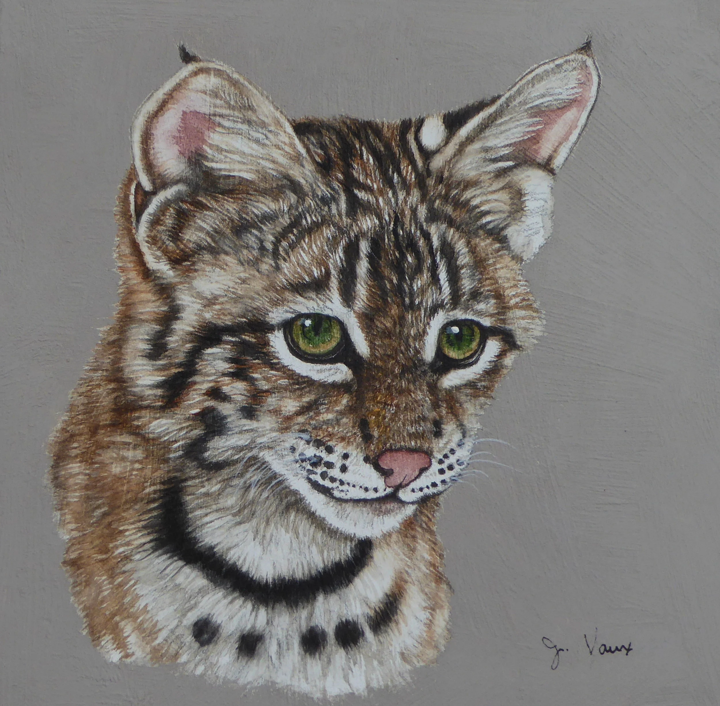 Baby Bobcat - Miniature — Original Paintings |Animal Art