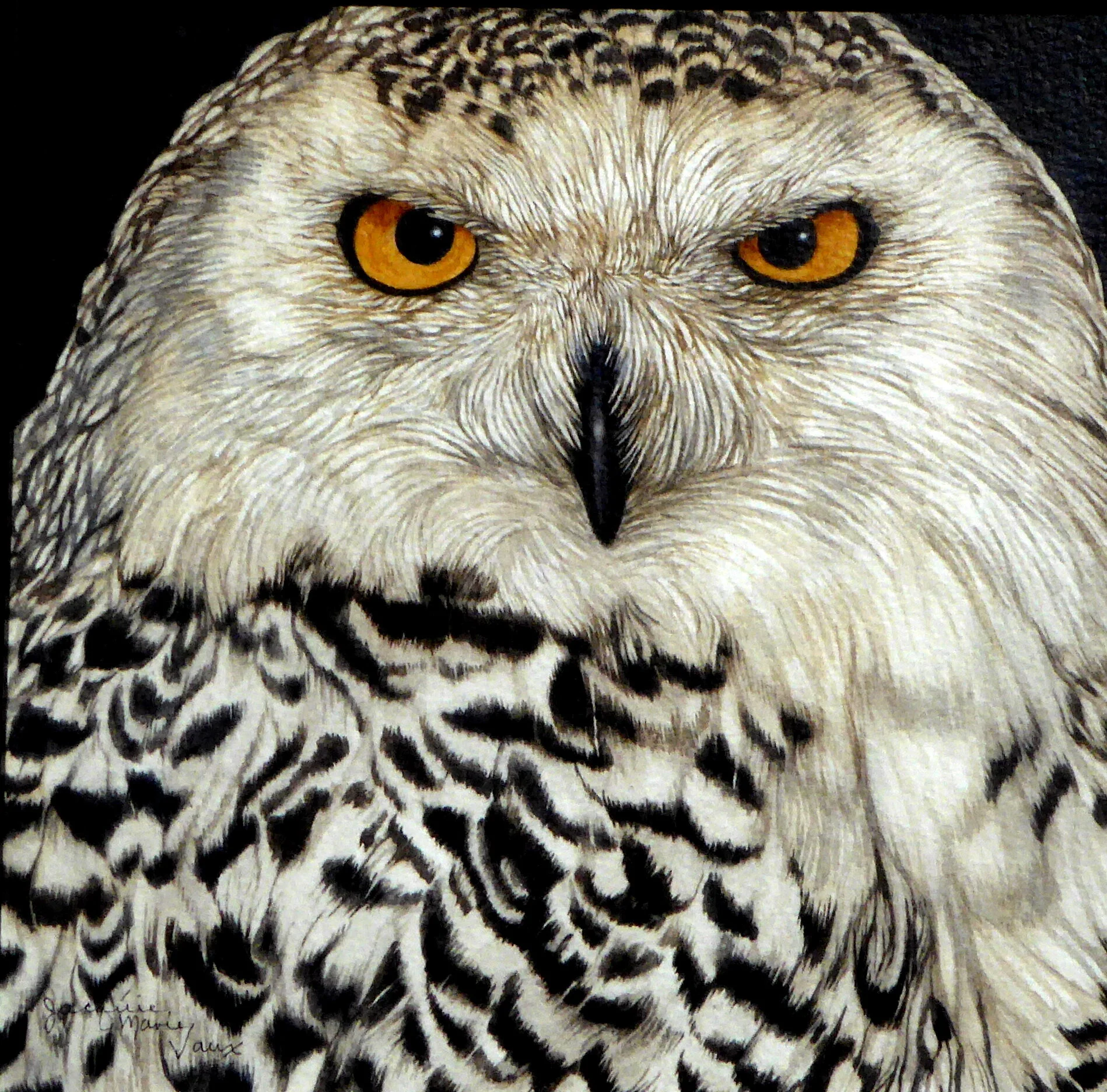 Owl-Eyes-2018.jpg