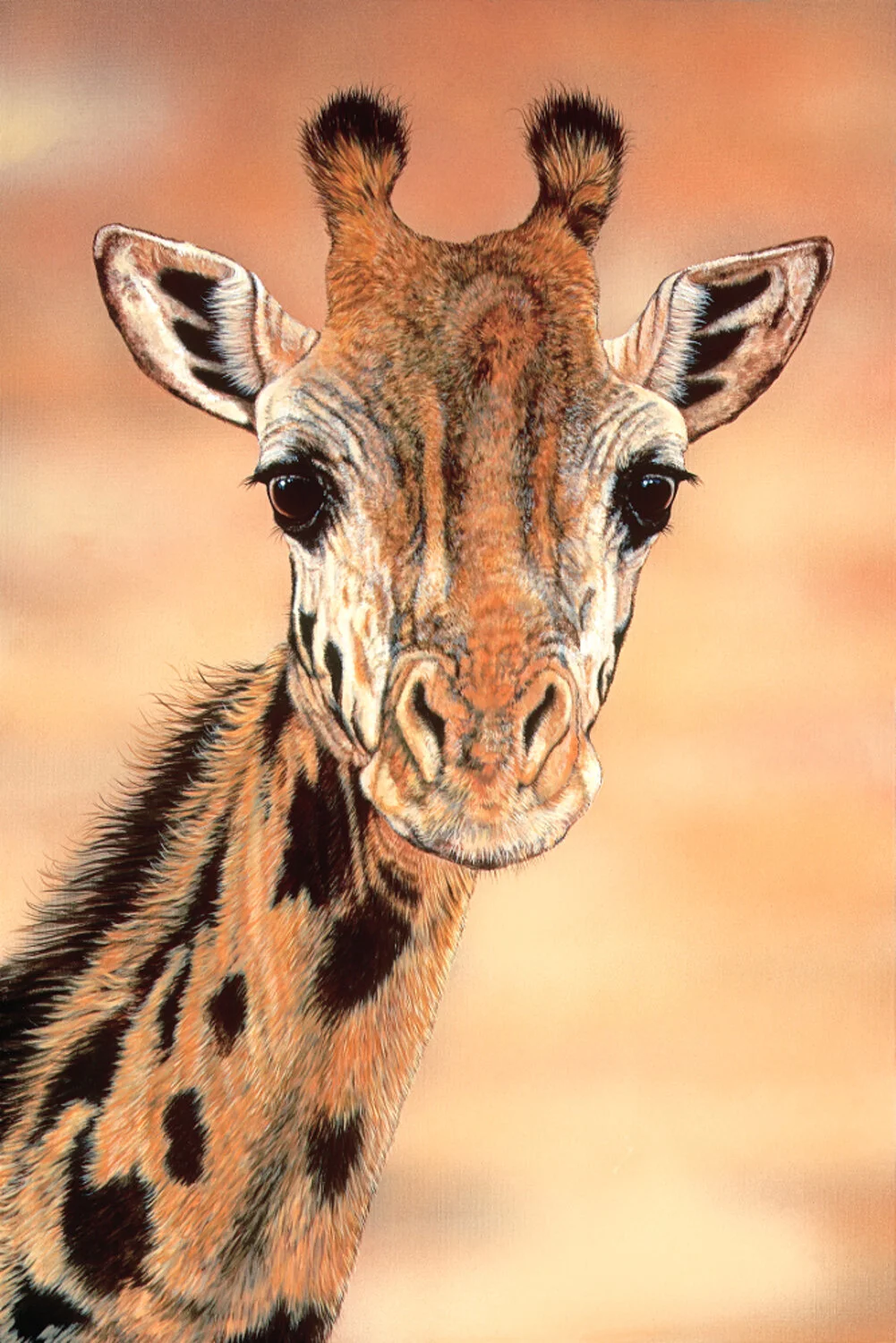Giraffe-Adult-Cm2-Print.jpg